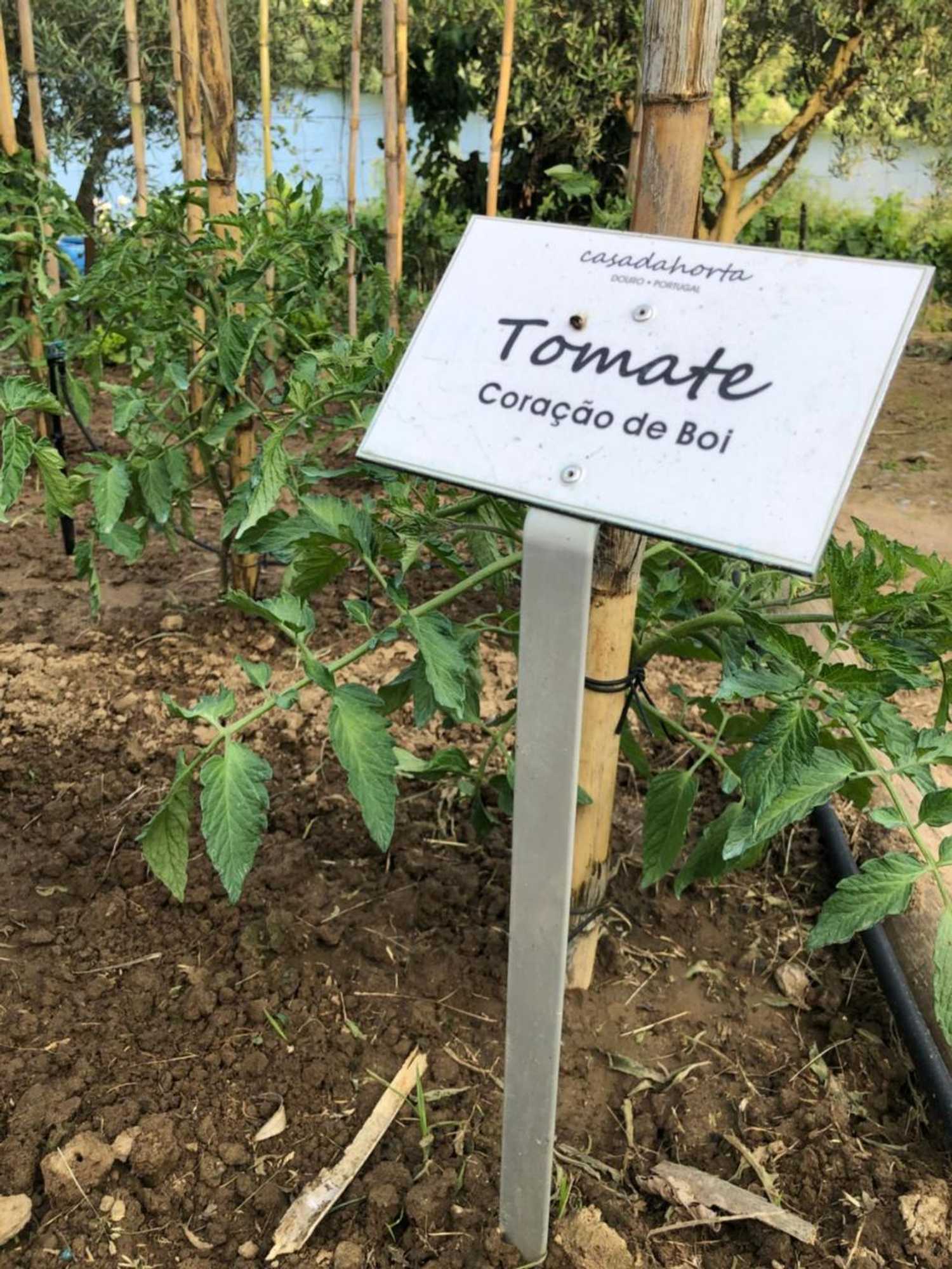 Gift card for Casa da Horta