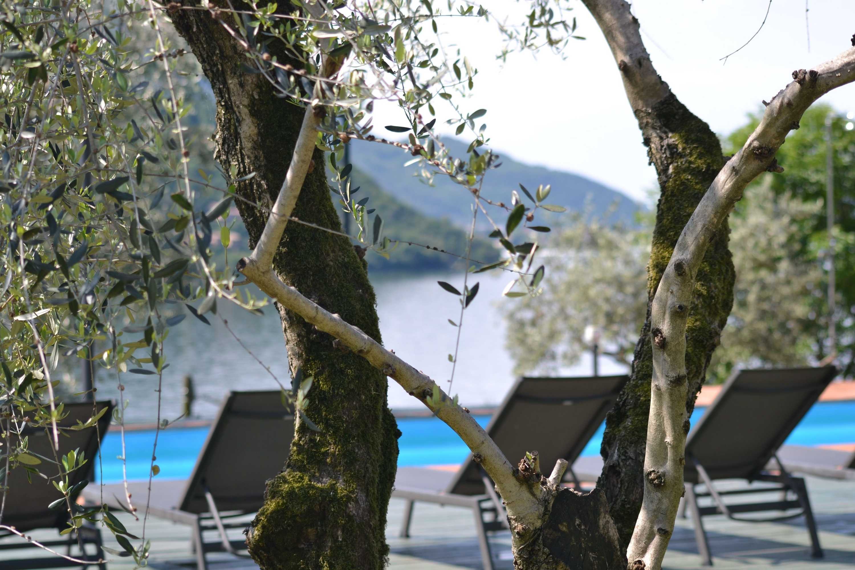 Gift card for Residence Castello Oldofredi Gift card for Residence Castello Oldofredi