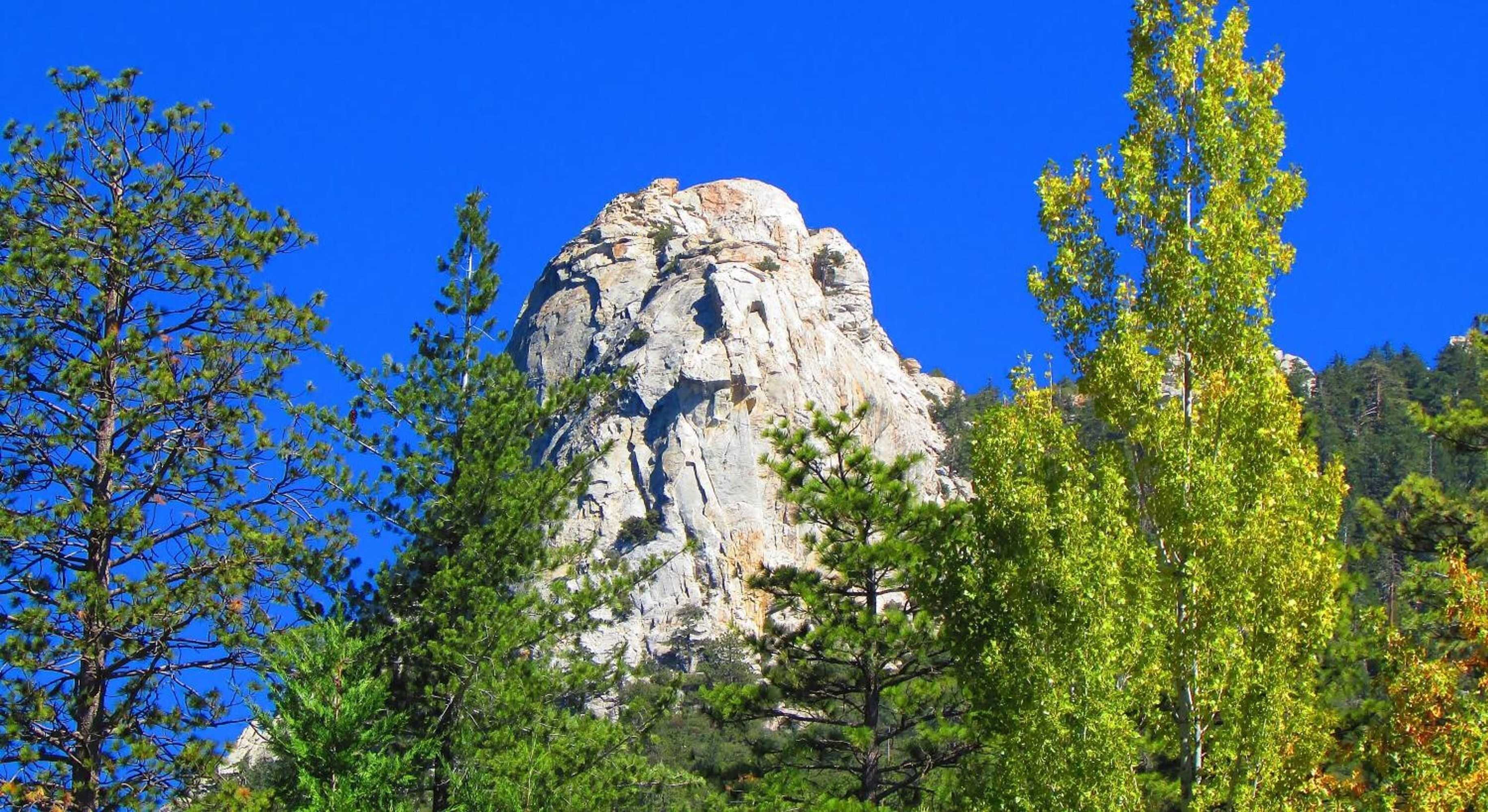 Gift card for Always Inn Idyllwild Vacation Cottages Gift card for Always Inn Idyllwild Vacation Cottages