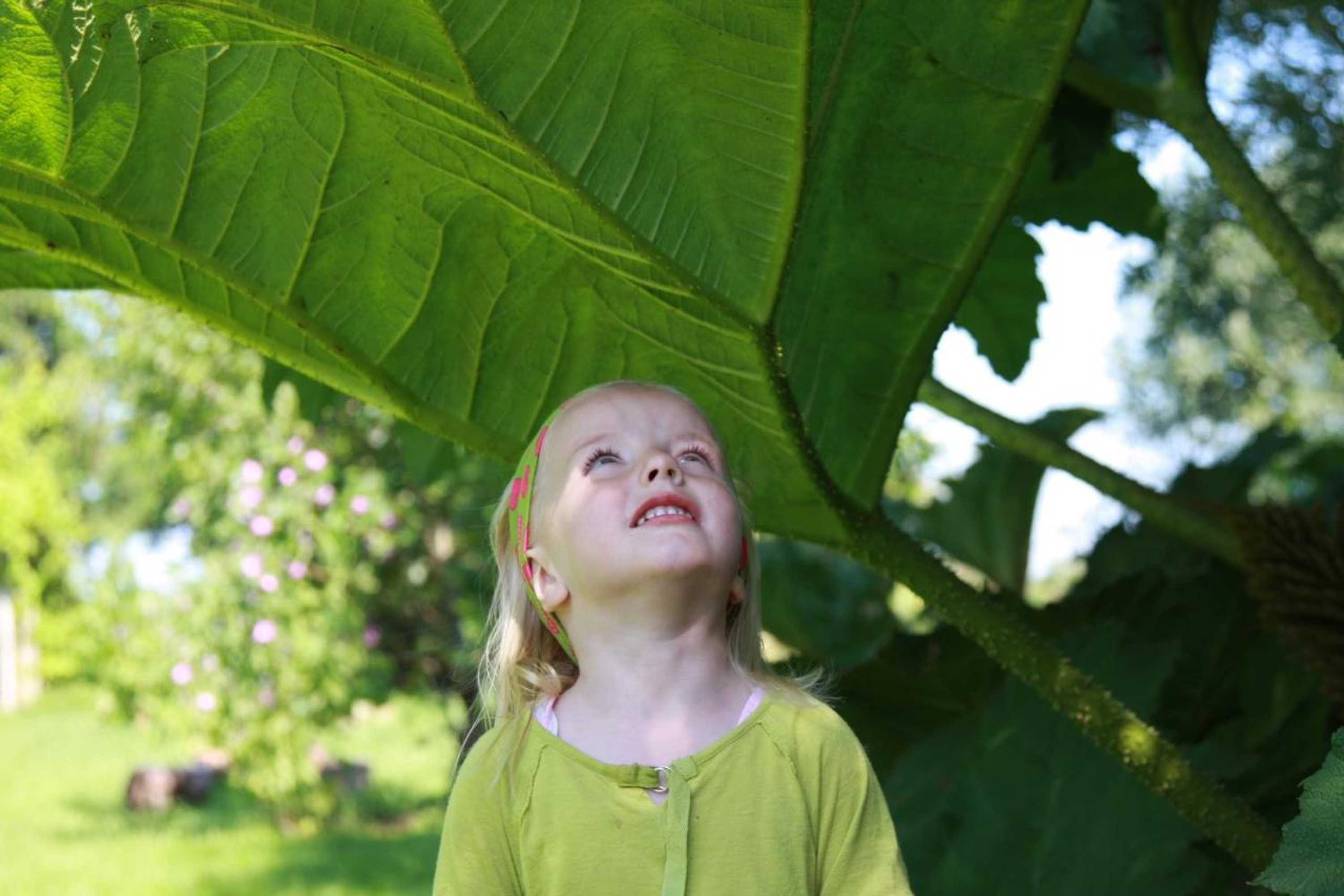 Gift card for Atelier La Luna