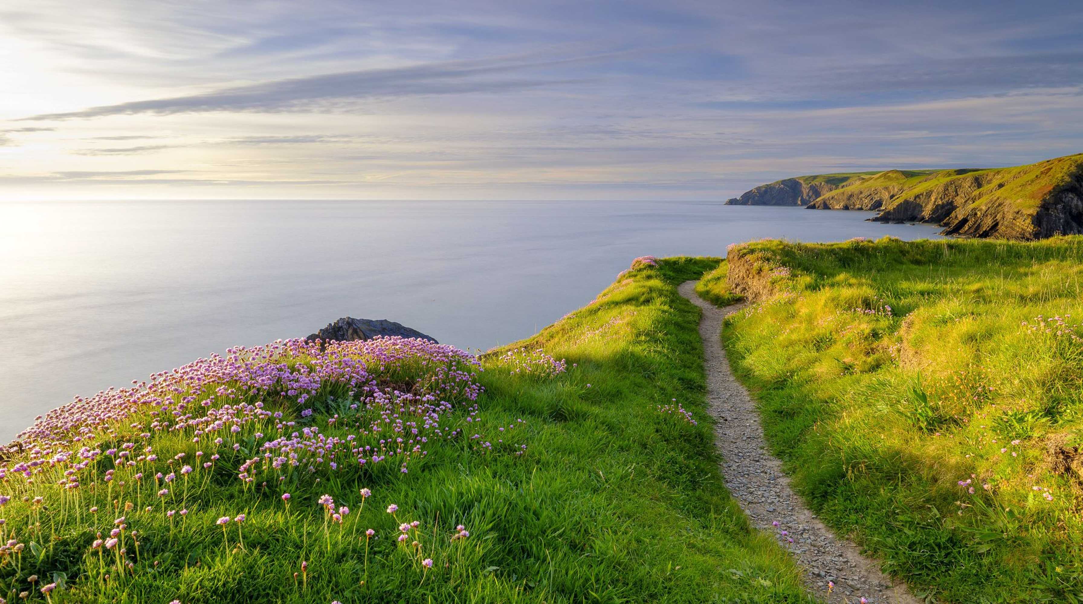 Gift card for Gwynfryn Guest House Pembrokeshire Gift card for Gwynfryn Guest House Pembrokeshire