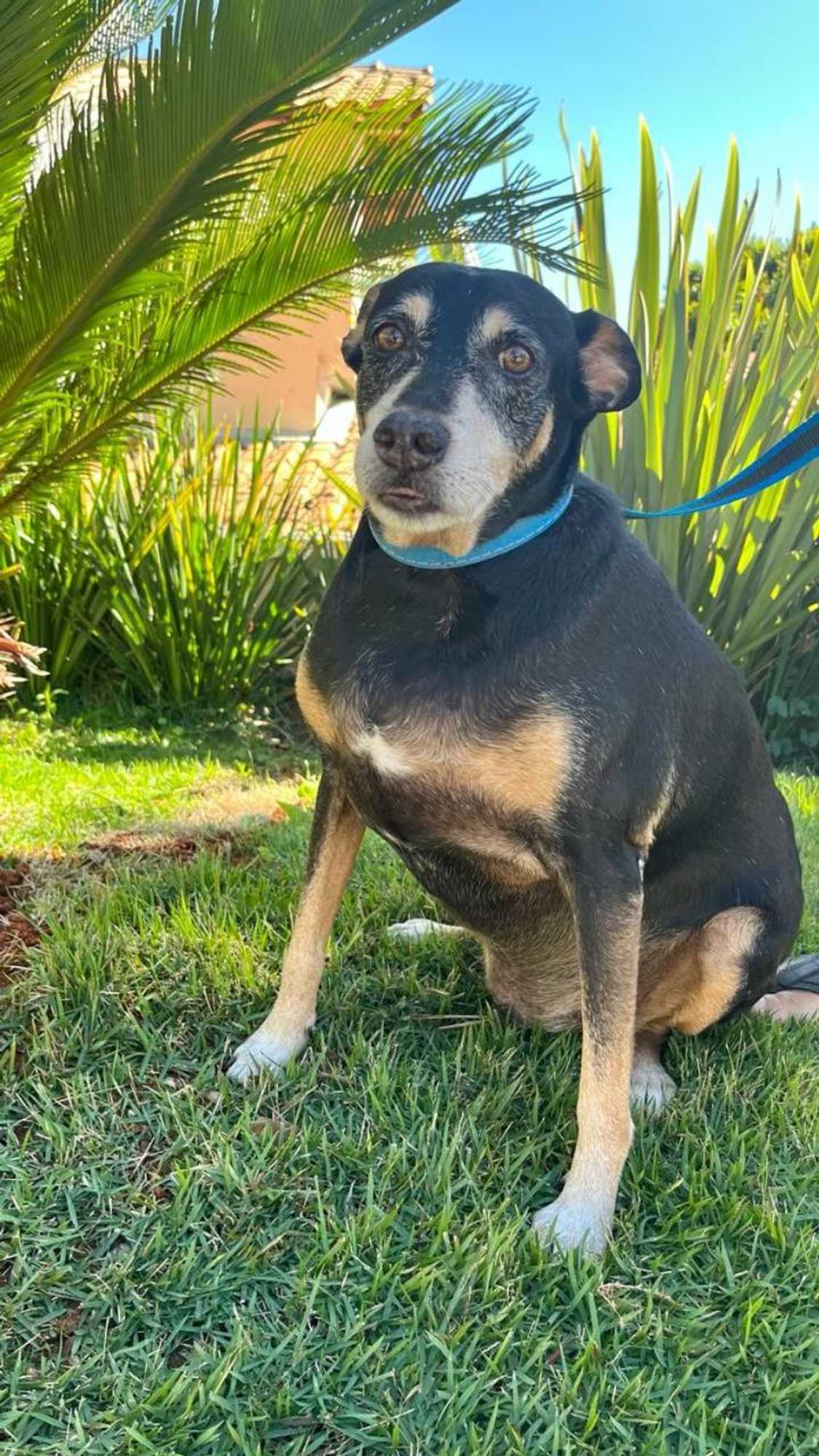 Gift card for Hotel Varandas do Sol