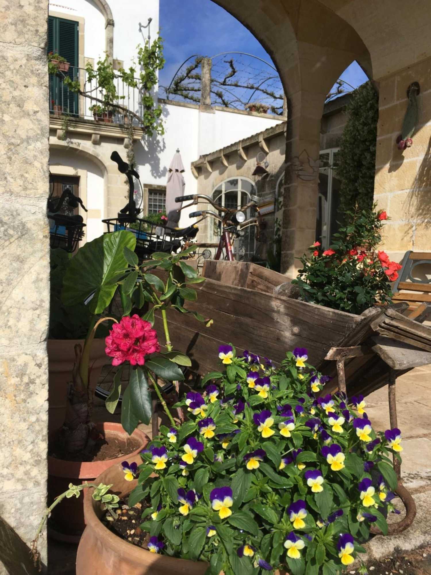 Gift card for Corte Dei Salentini Bed & Breakfast Gift card for Corte Dei Salentini Bed & Breakfast