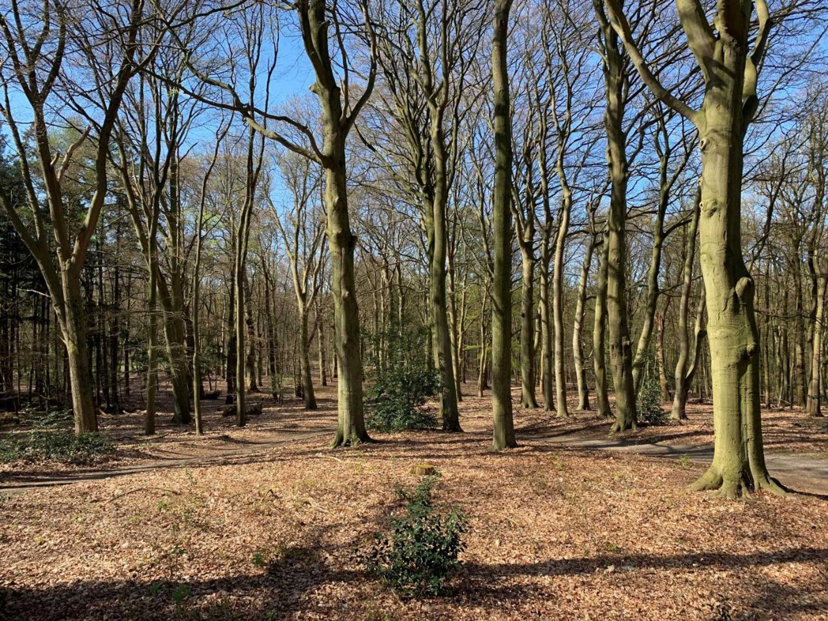 Gift card for Villa de Nachtegaal