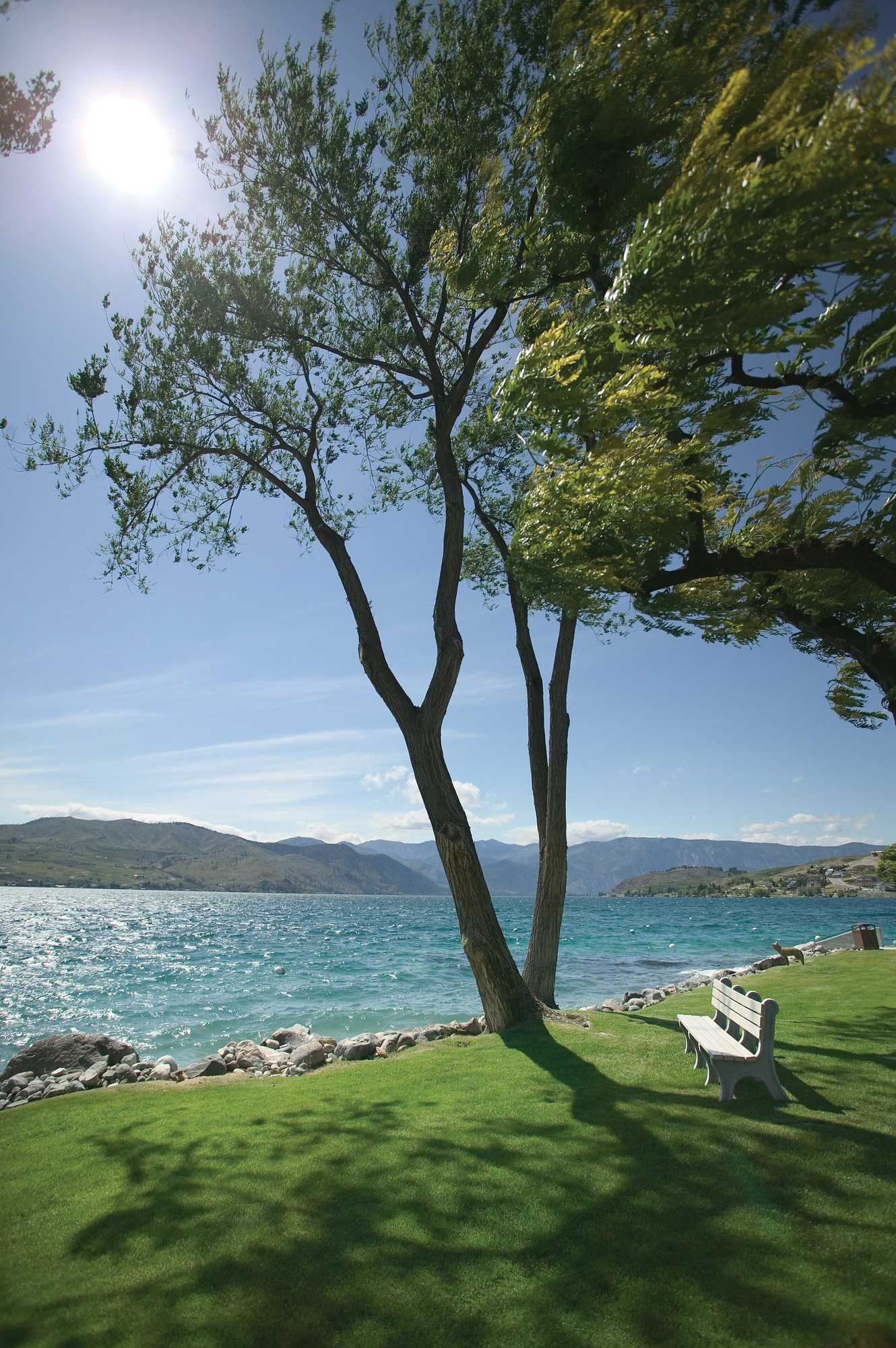 Gift card for Worldmark Lake Chelan Shores Gift card for Worldmark Lake Chelan Shores