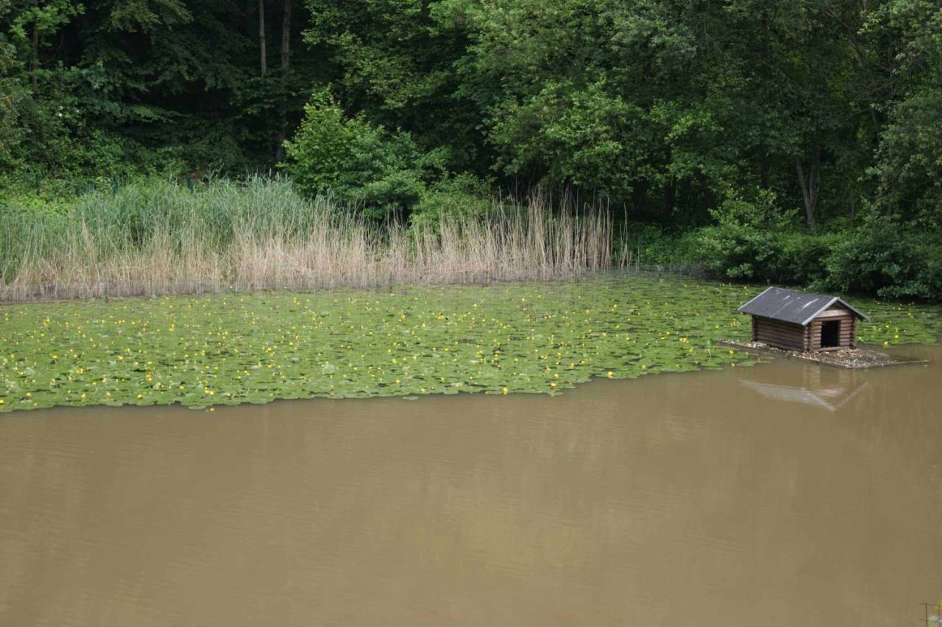 Gift card for Hotel Restaurant Muckensee