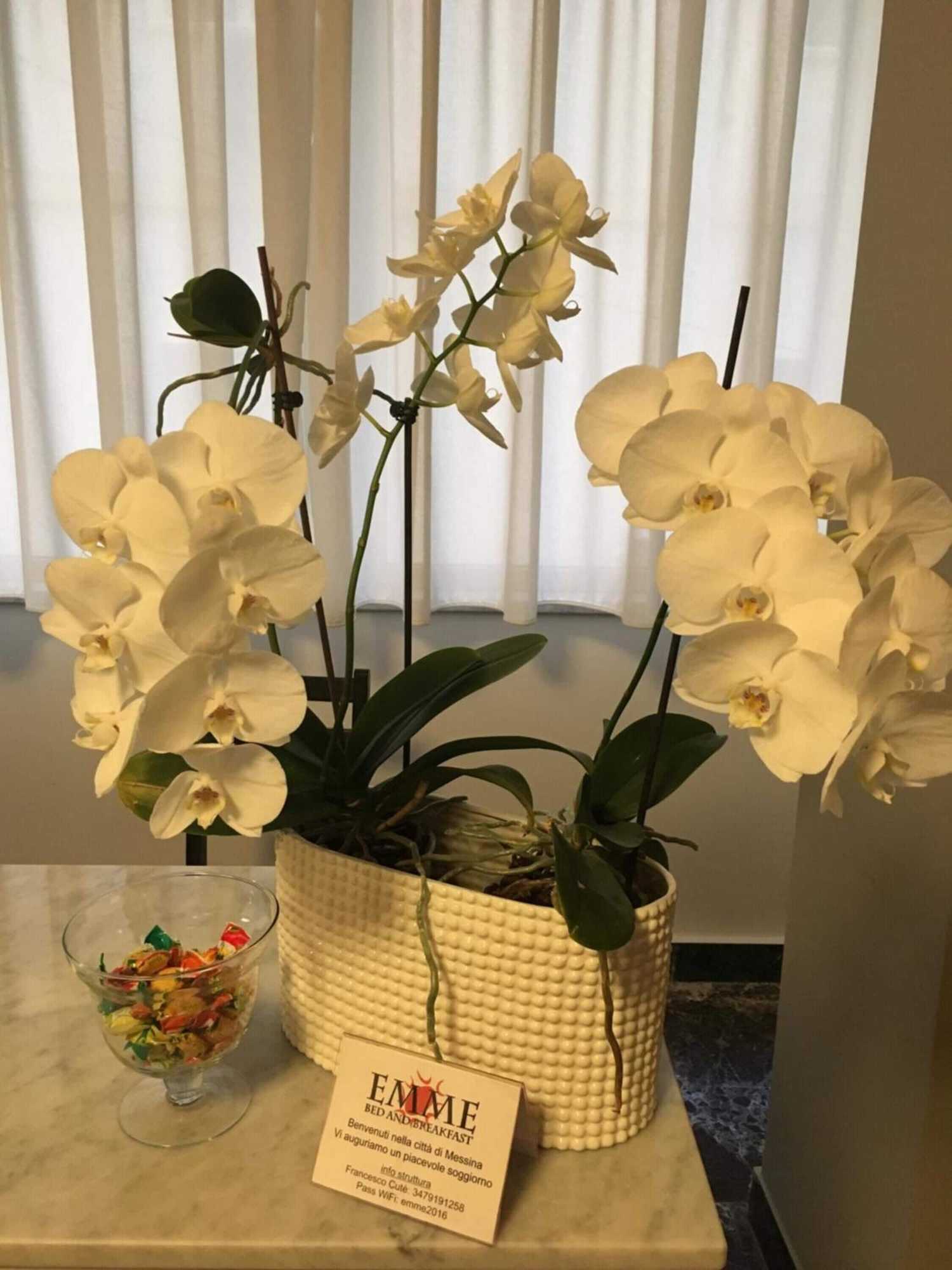 Gift card for B&b Emme