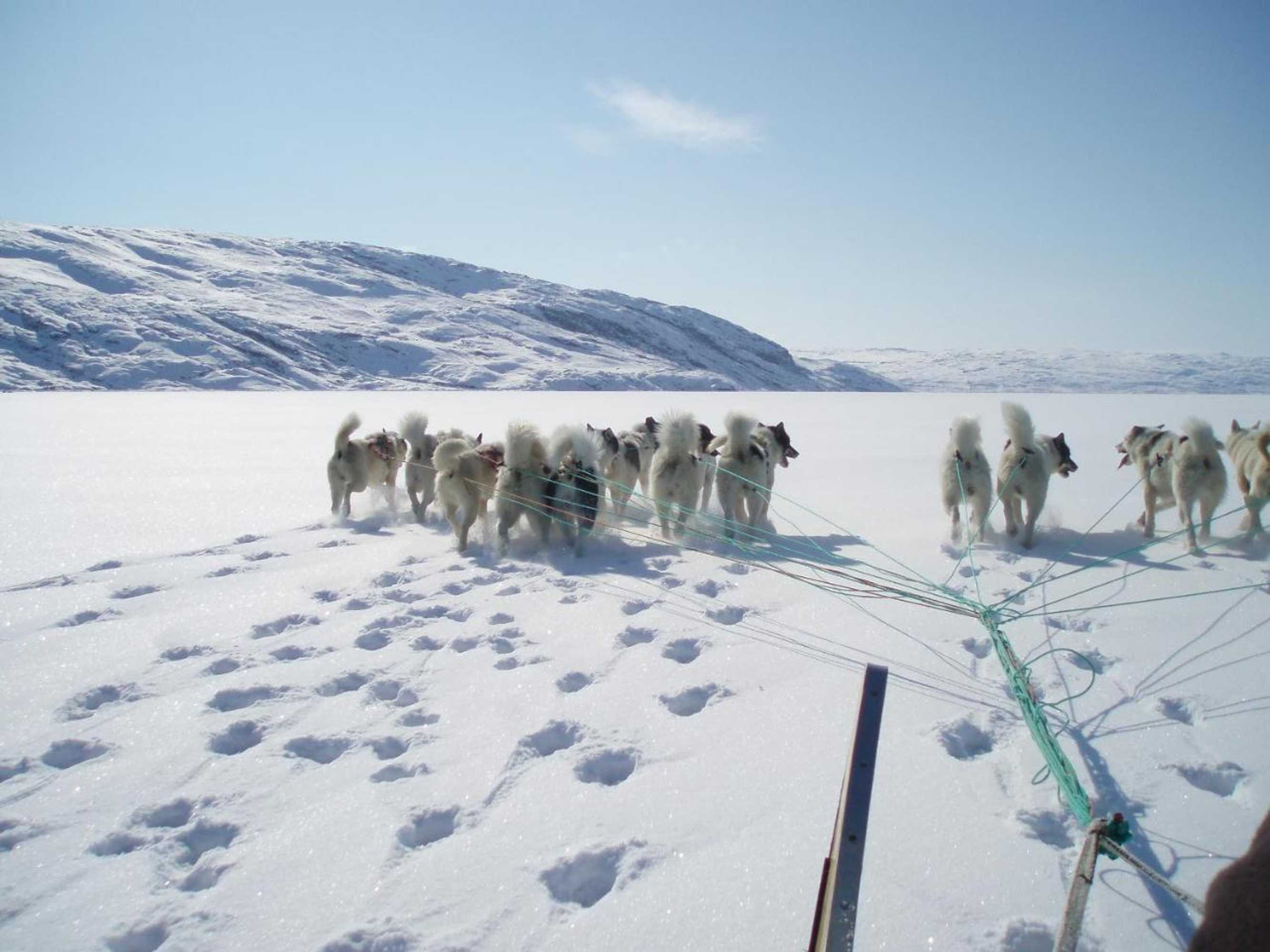 Gift card for Hotel Icefiord