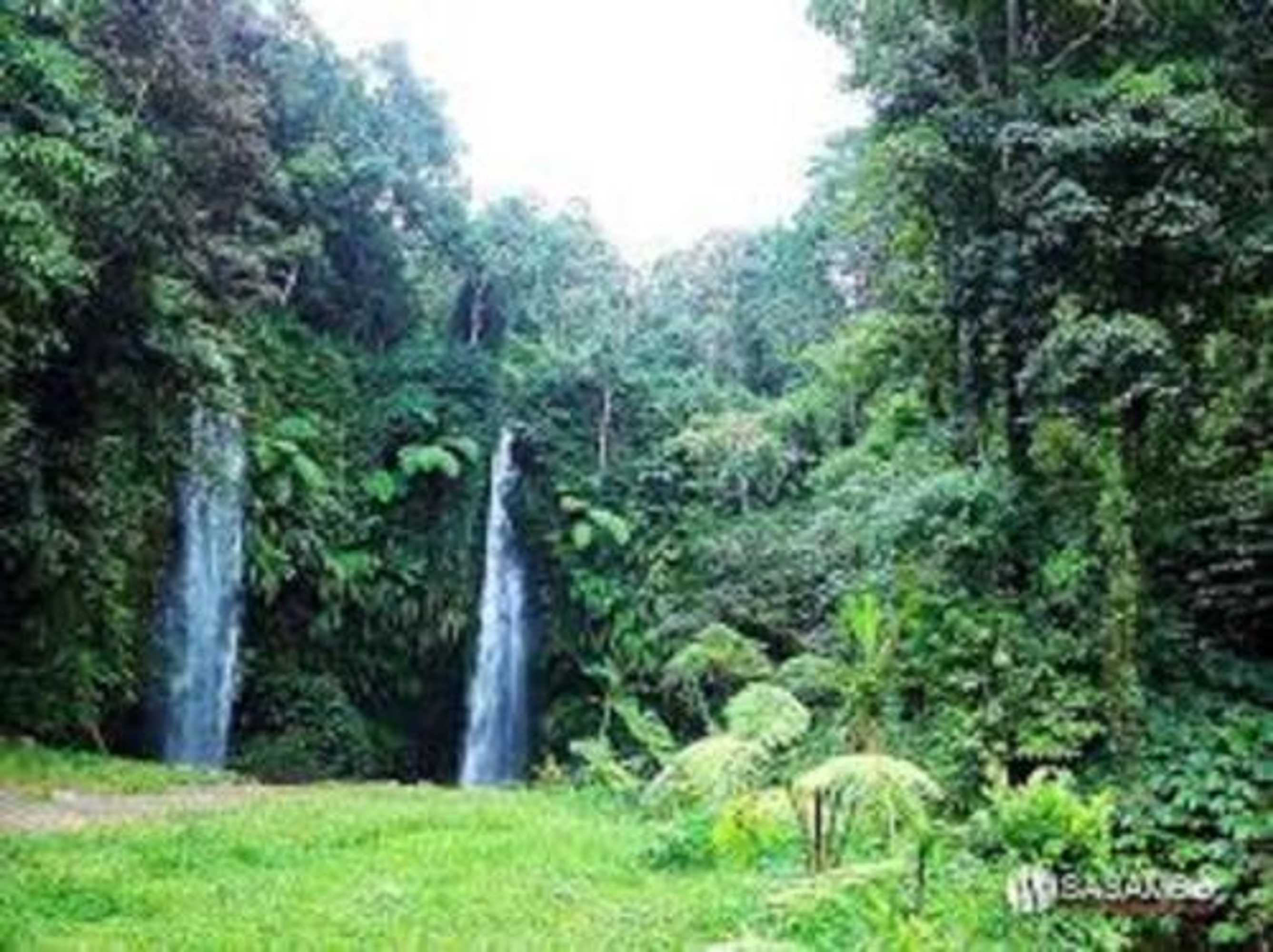 Gift card for Tereng Wilis Jungle Inn Gift card for Tereng Wilis Jungle Inn