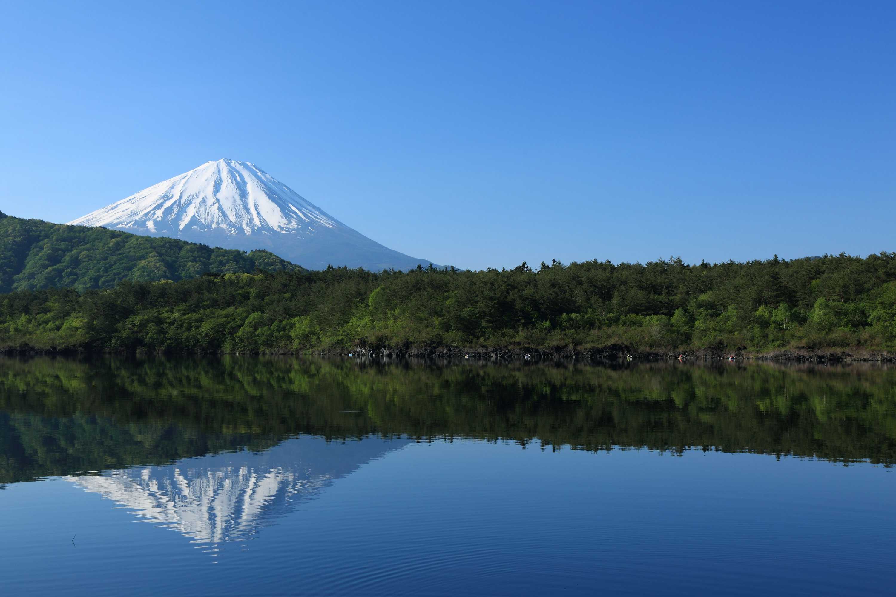 Gift card for Hotel Mystays Fuji Onsen Resort Gift card for Hotel Mystays Fuji Onsen Resort