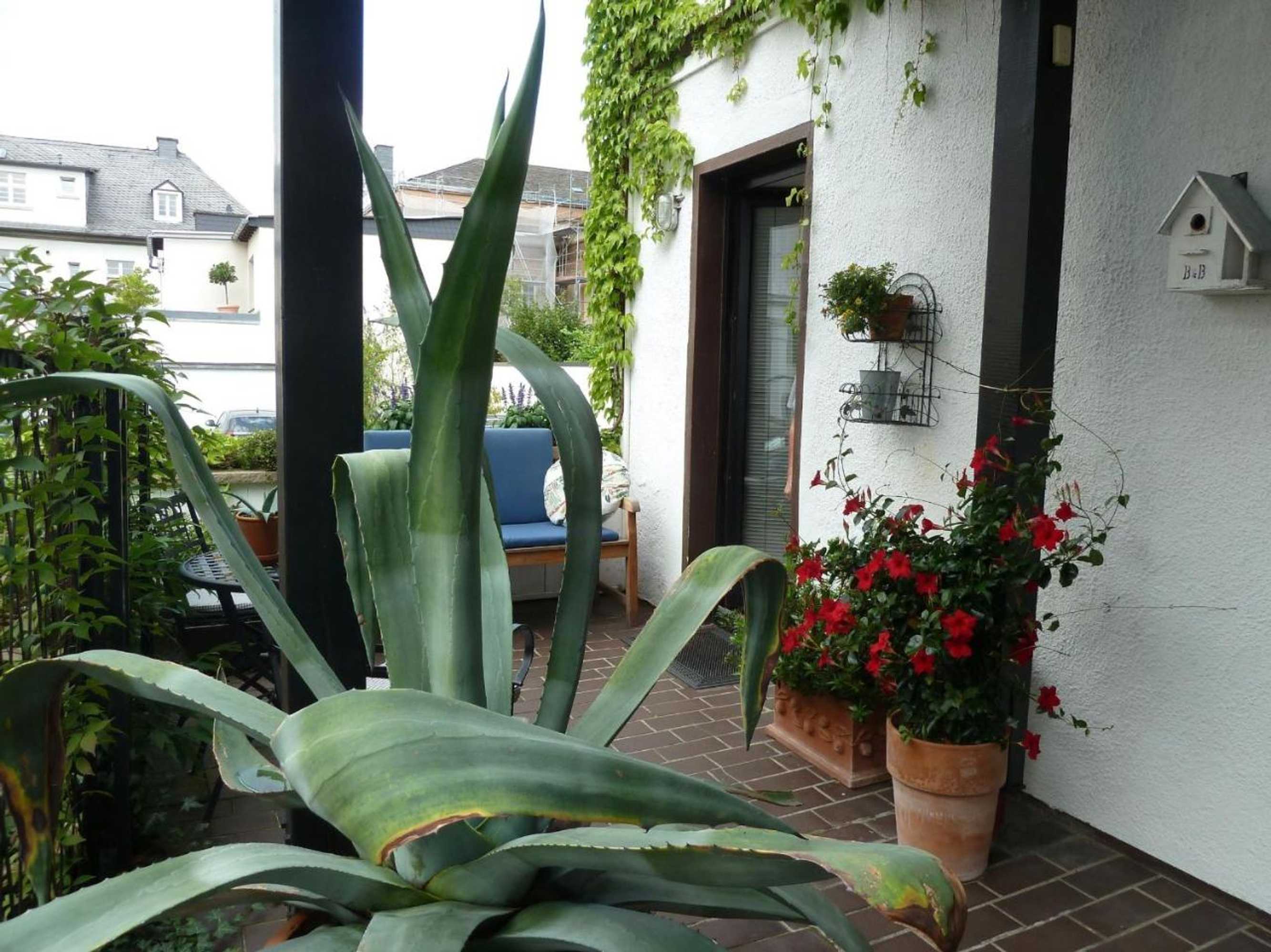 Gift card for Ferienwohnung Dora Brand