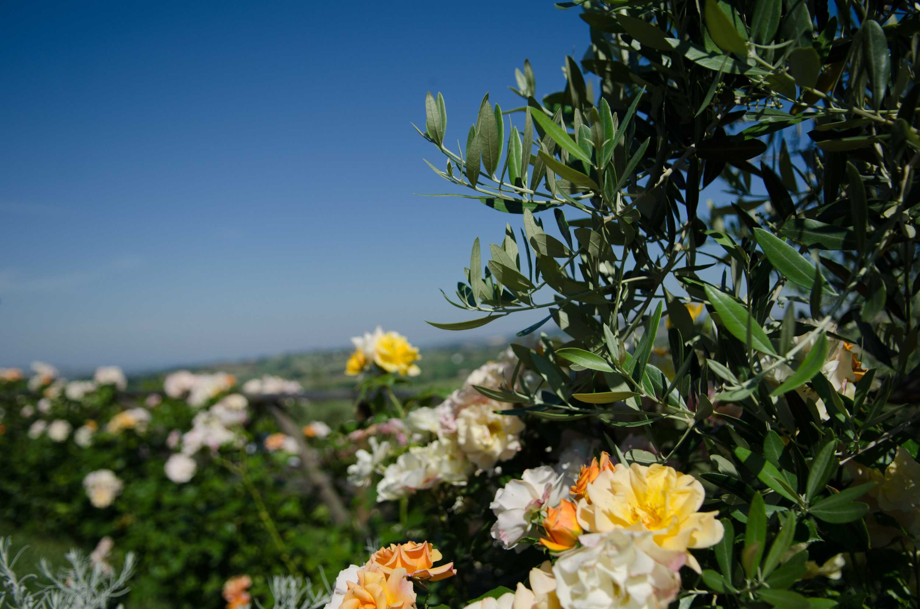 Gift card for Al Crepuscolo Agriturismo Gift card for Al Crepuscolo Agriturismo