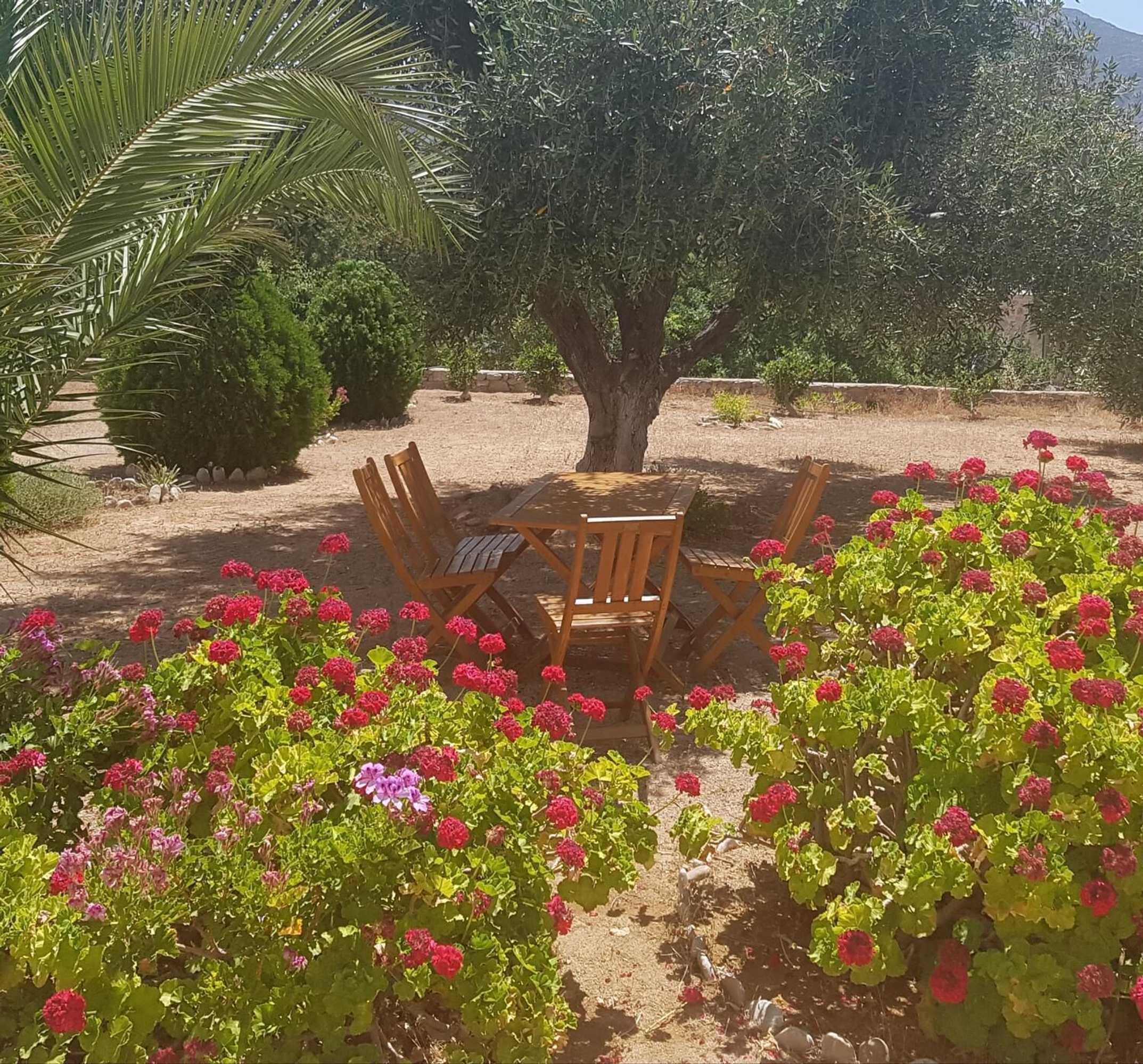 Gift card for Tilos Fantasy Apartments Gift card for Tilos Fantasy Apartments