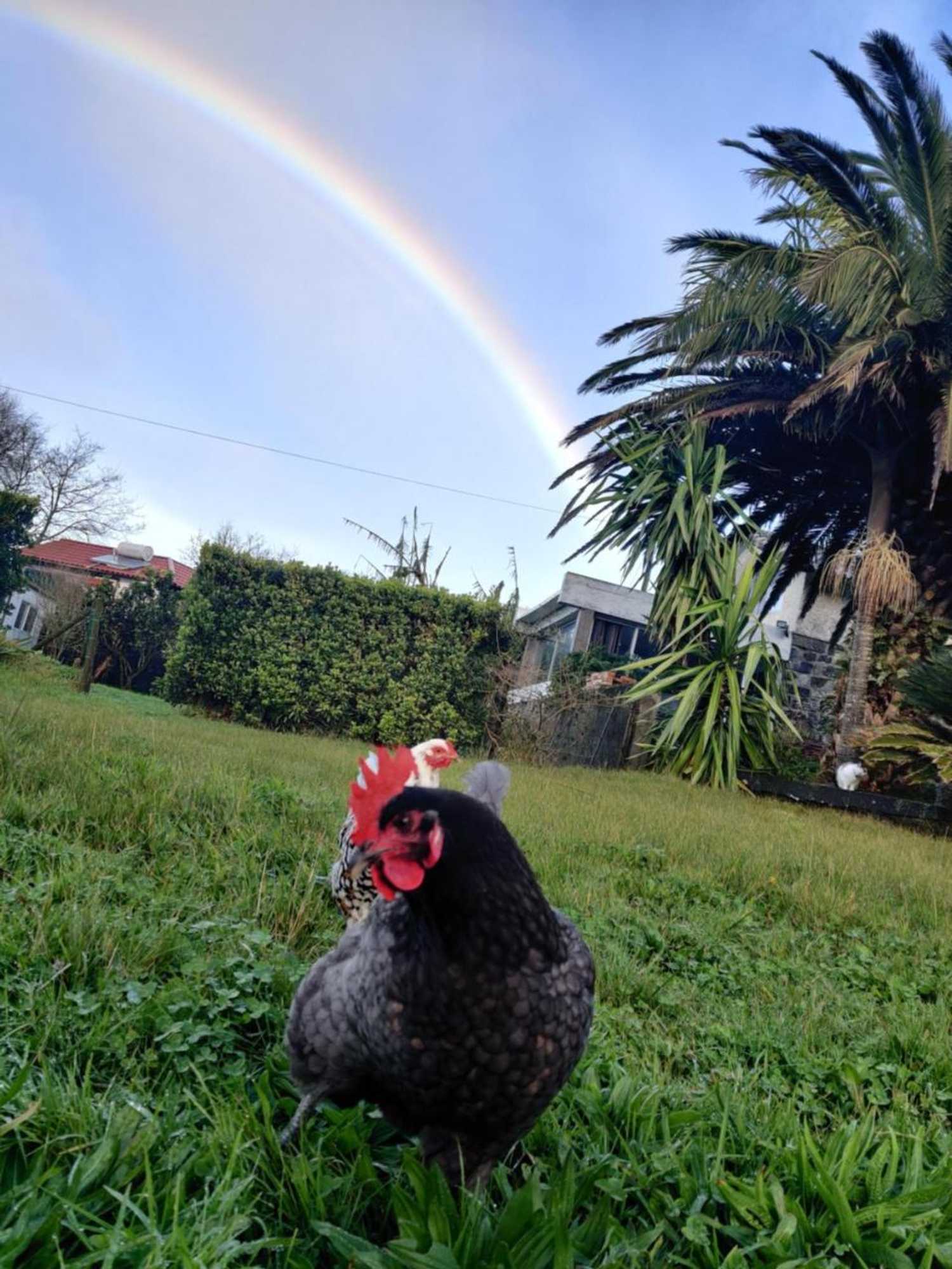 Gift card for Novovento