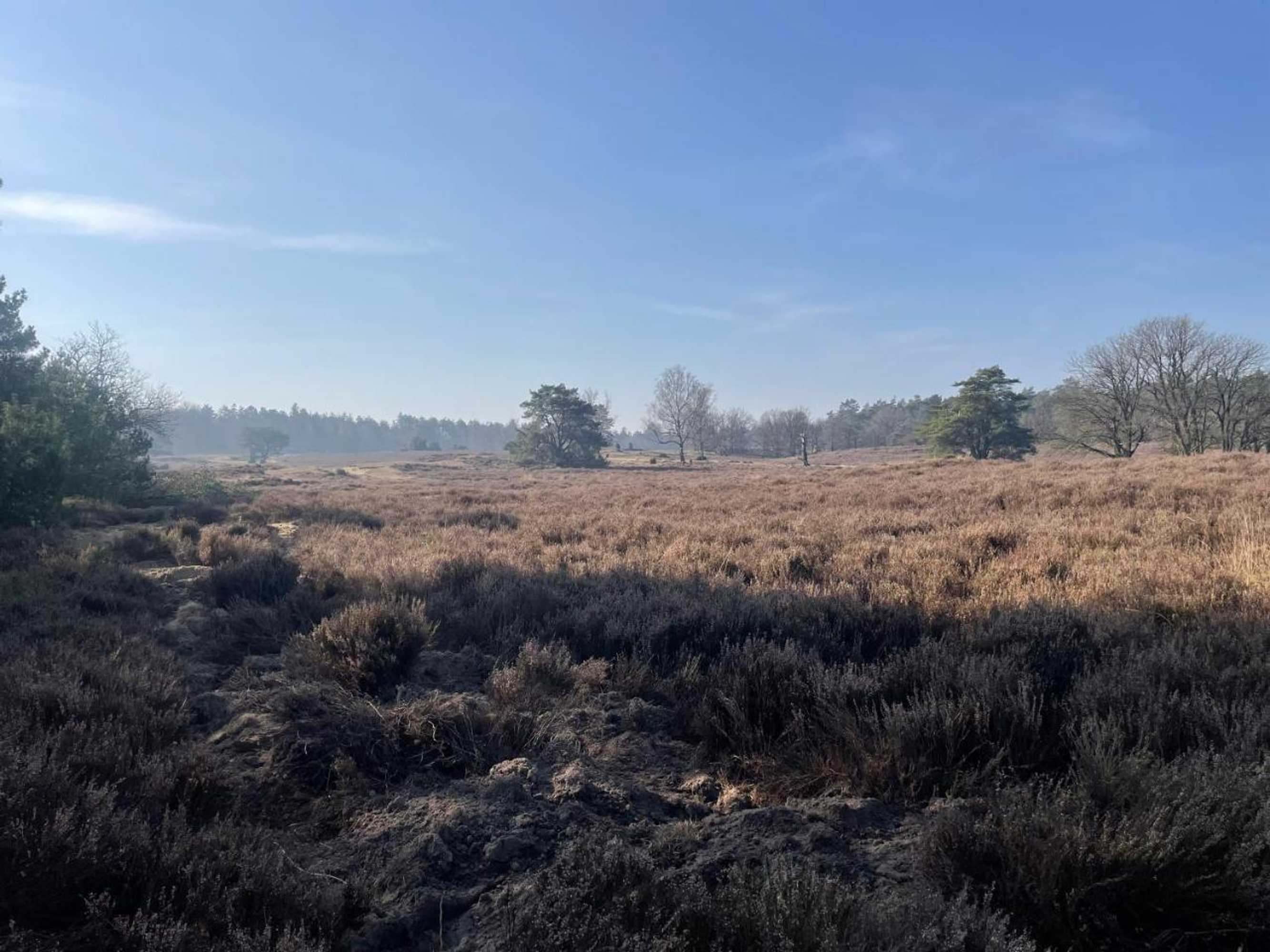 Gift card for B&b Oud-Zilven