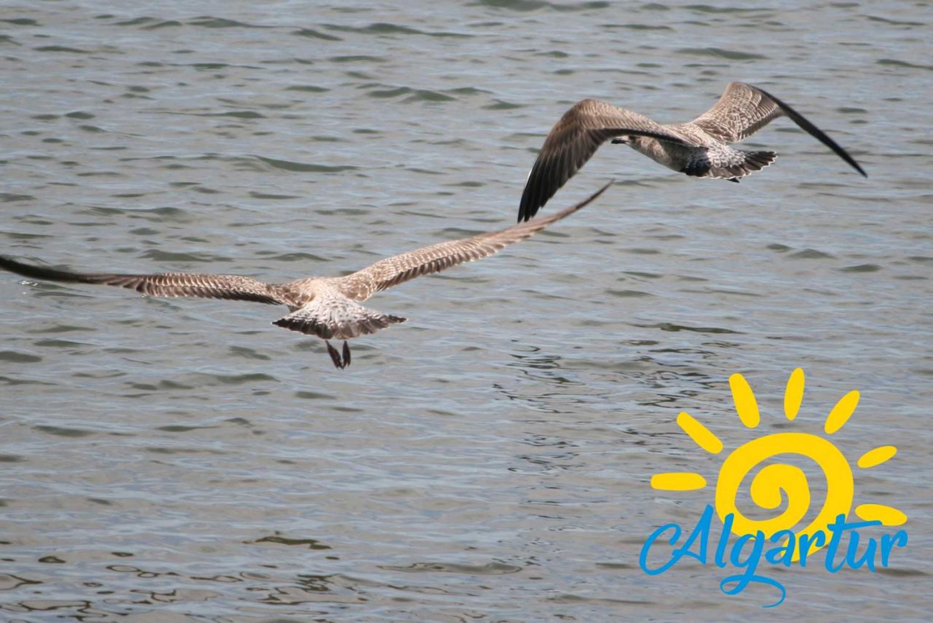 Gift card for Cabanas Ria