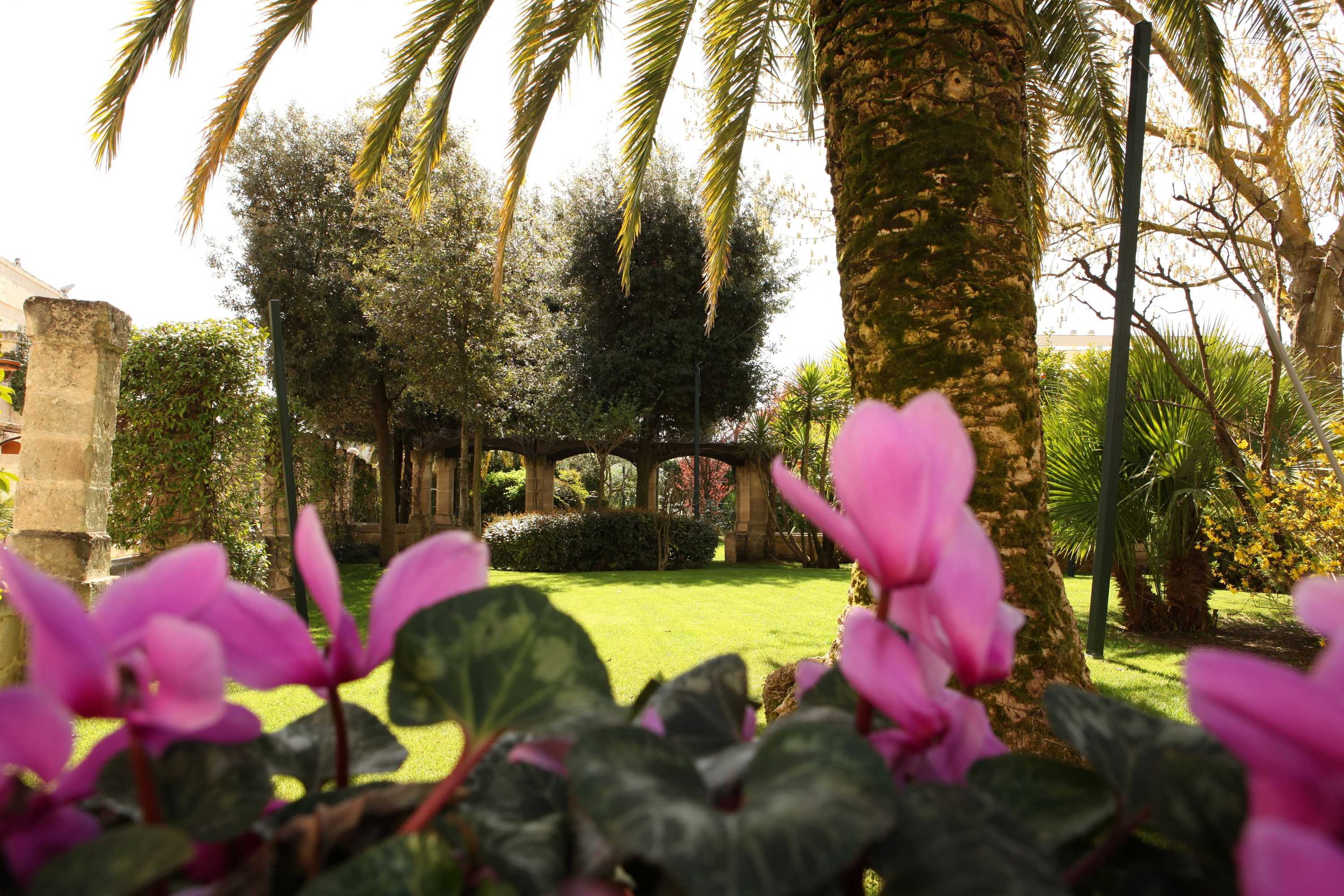Gift card for Hotel Del Campo