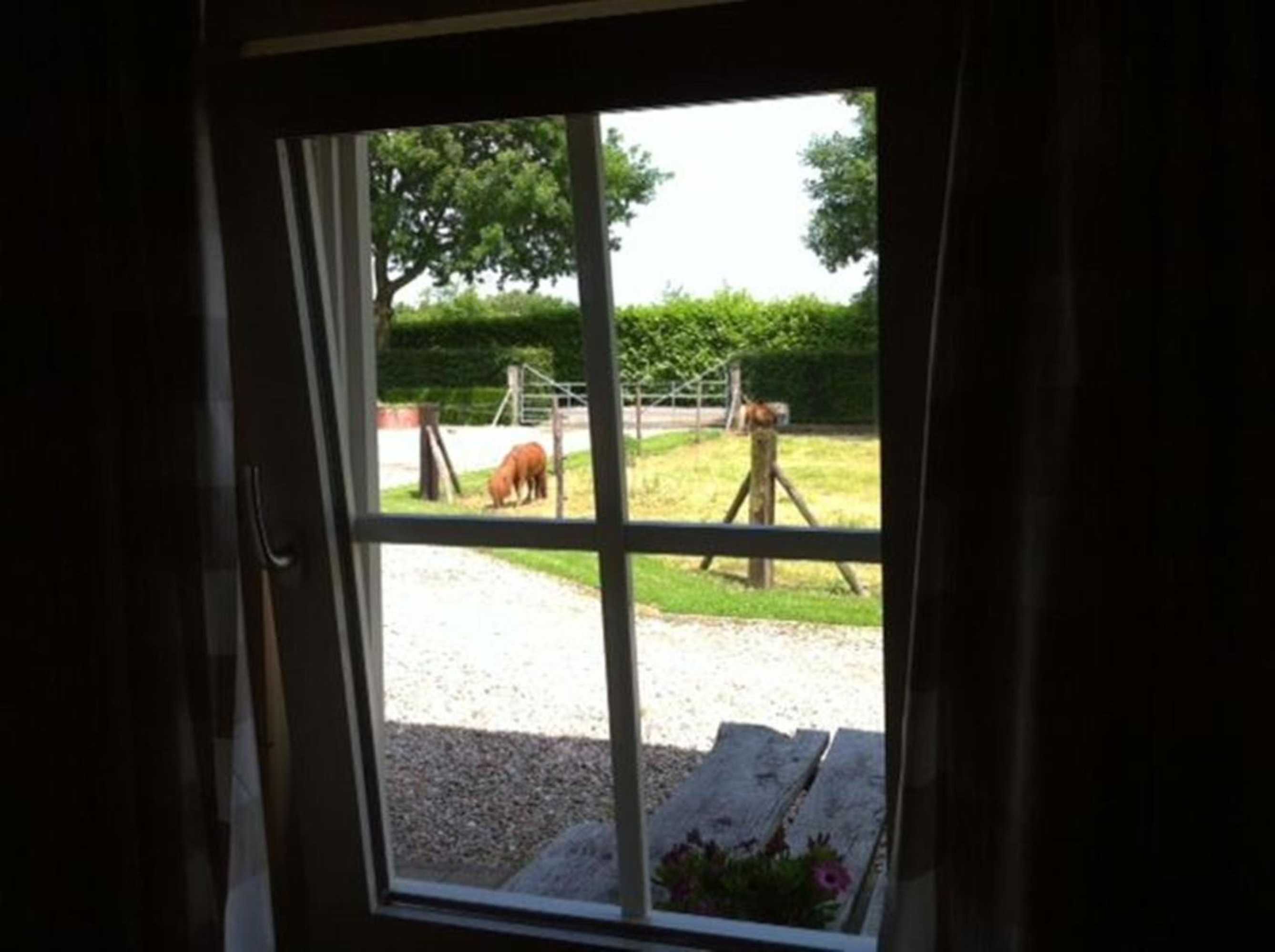 Gift card for B&b Hofstede De Groote Laar