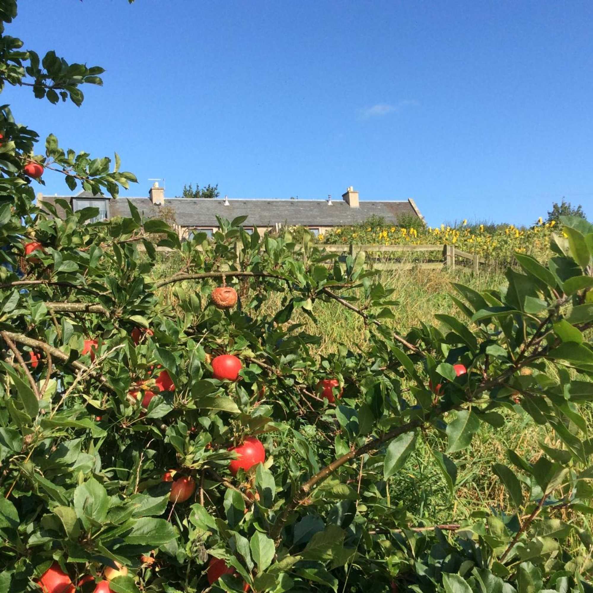 Gift card for Garden Bank Cottage