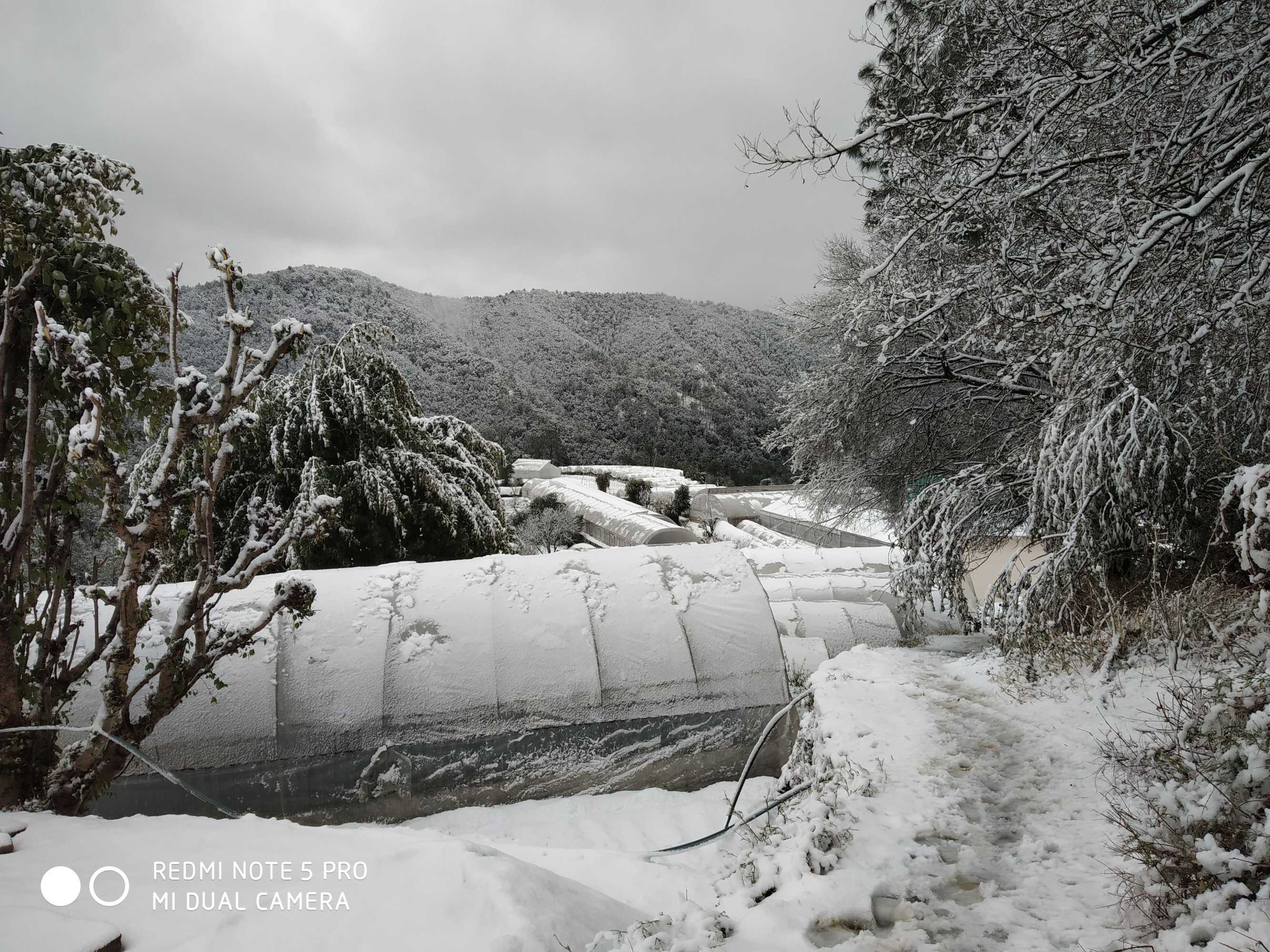 Gift card for Mountain View Resort