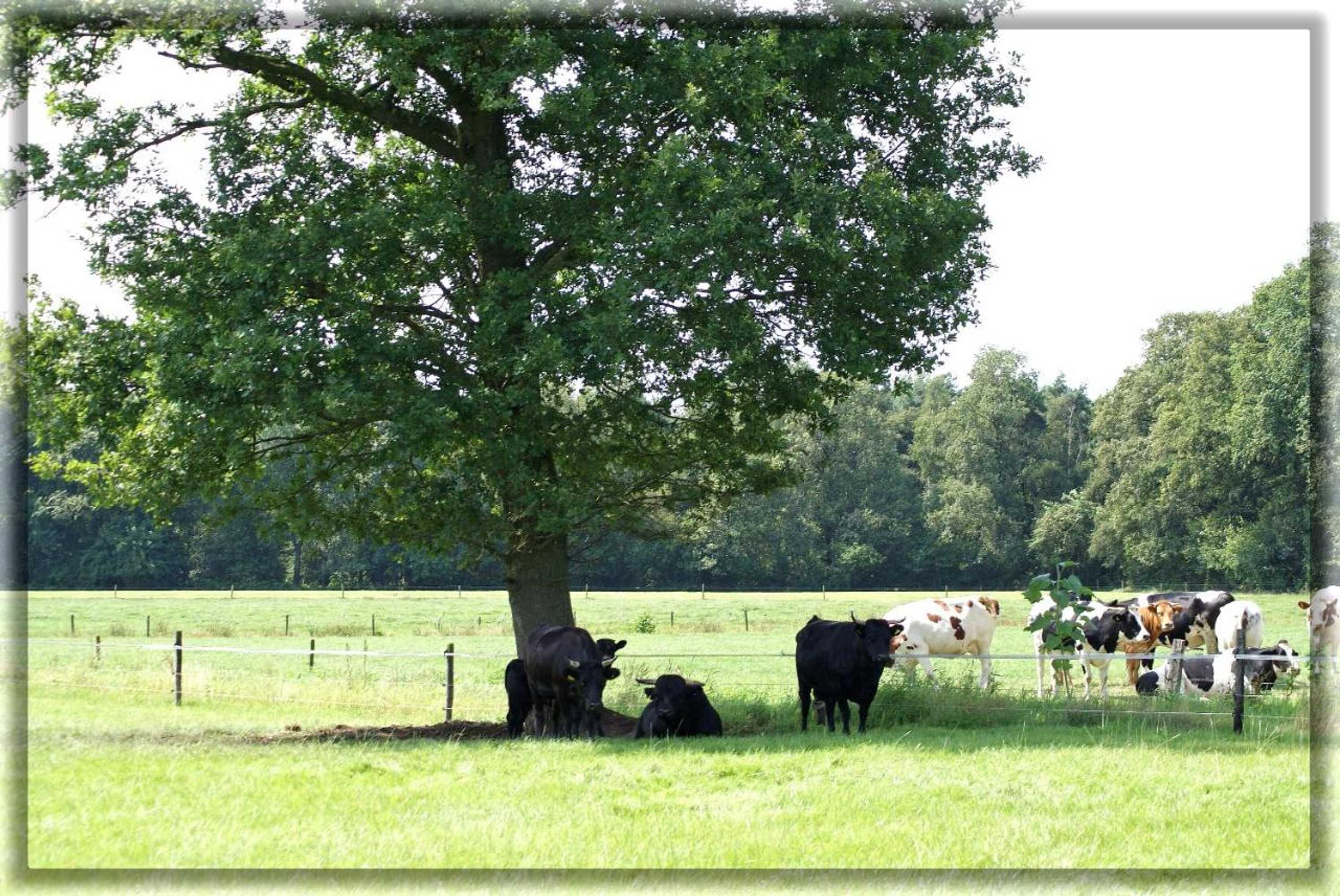 Gift card for B&b Hof 't Sprakel