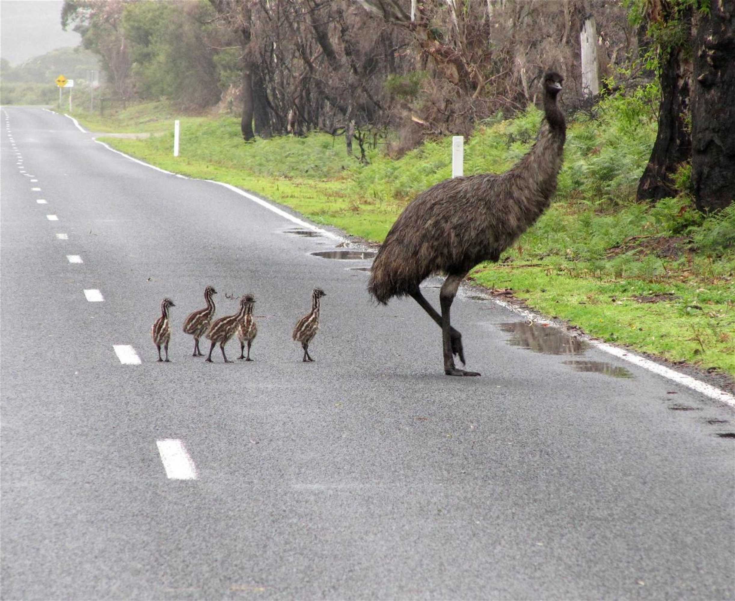 Gift card for Llarrinda Bed & Breakfast