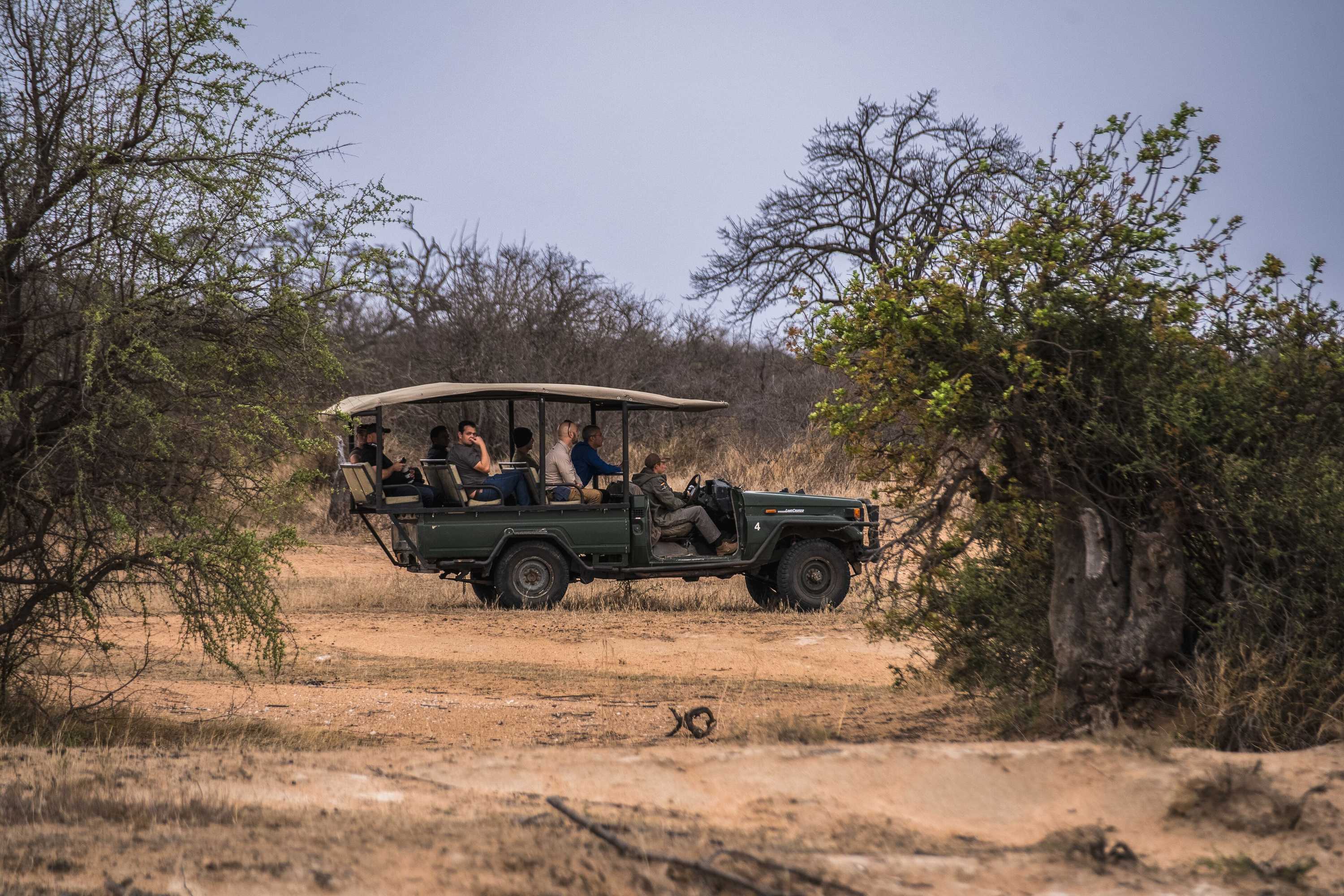 Gift card for Tshukudu Game Lodge Gift card for Tshukudu Game Lodge