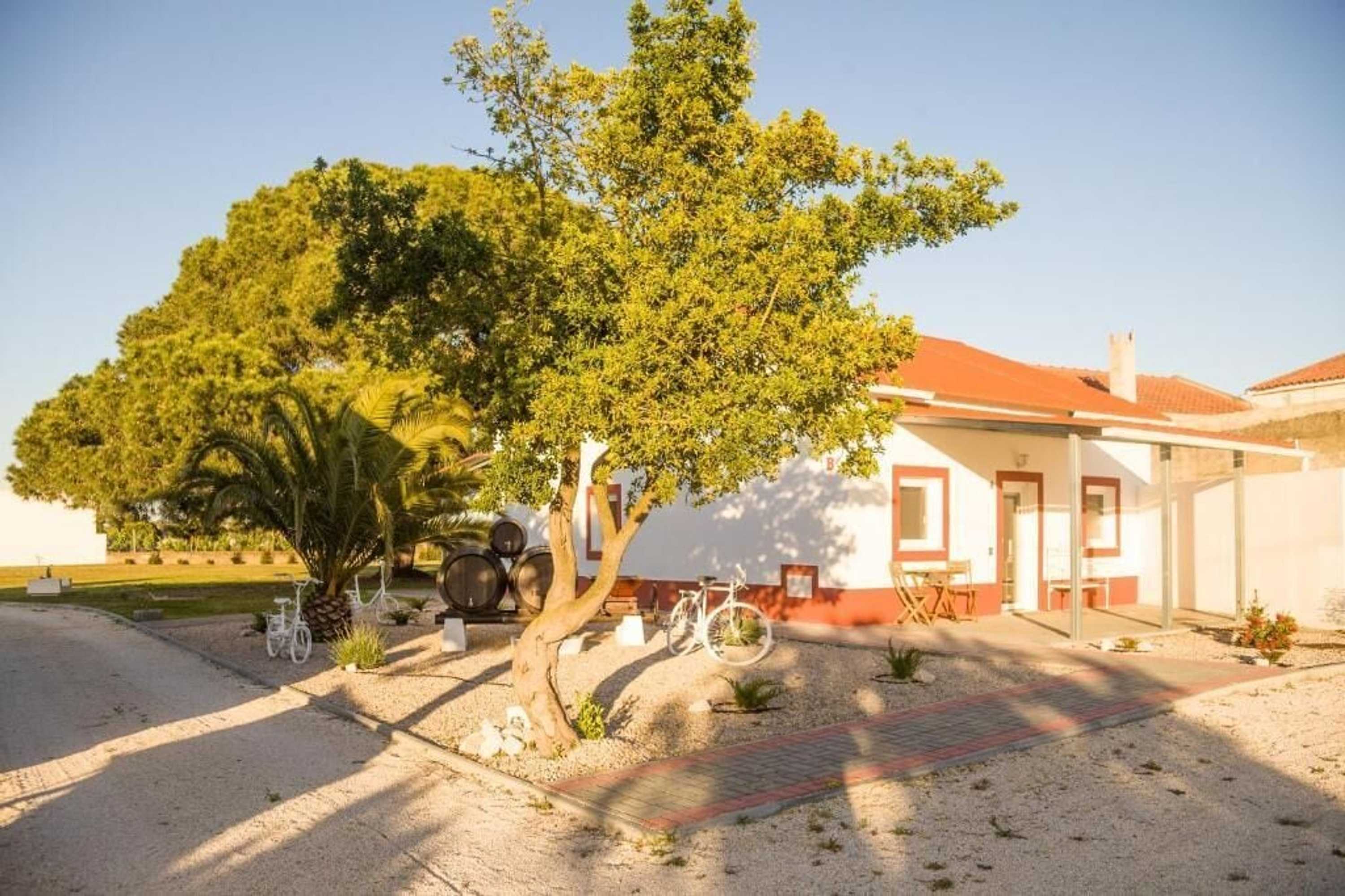 Gift card for Casa Das Pipas #6