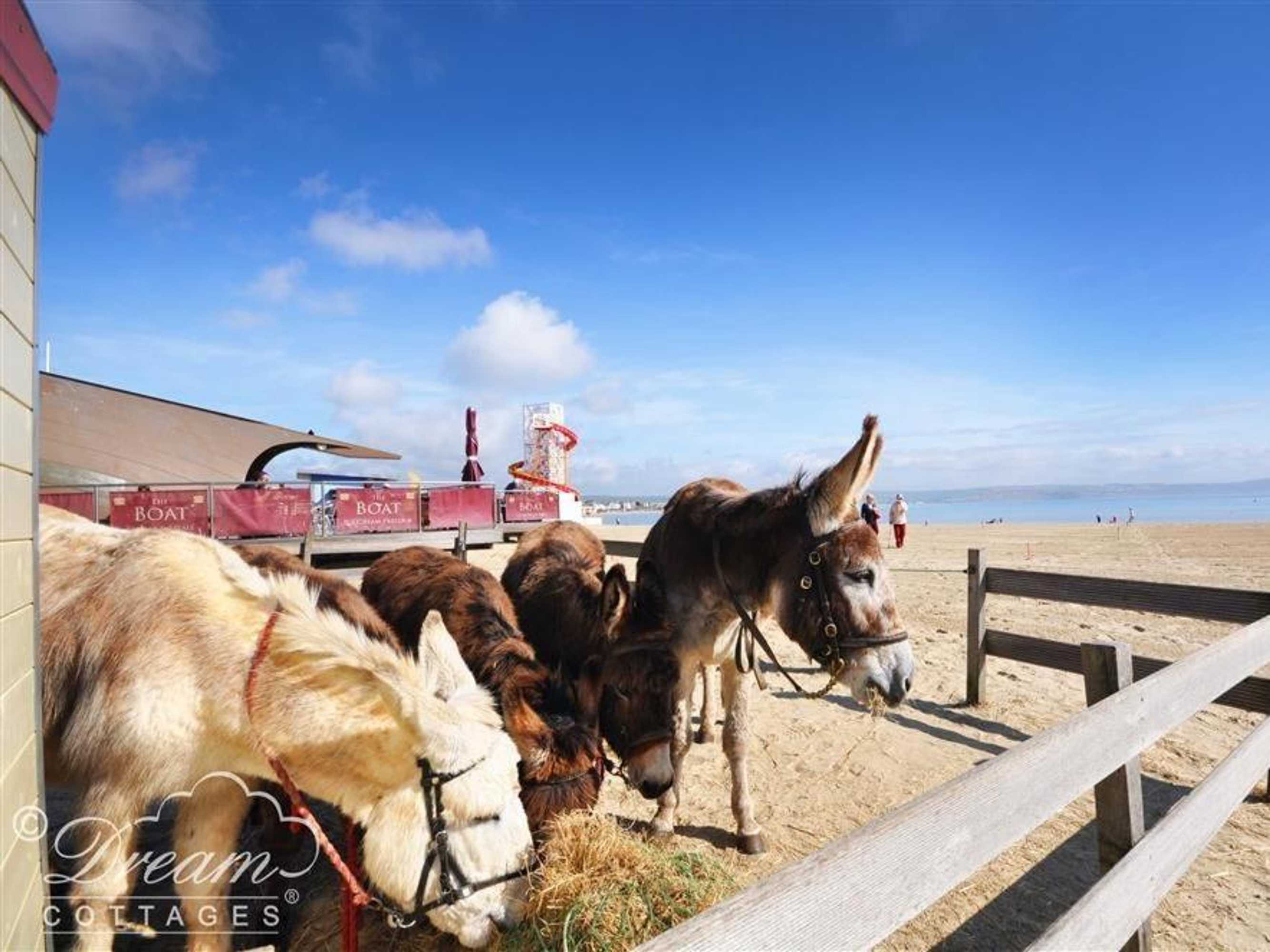 Gift card for Outlook Lodge