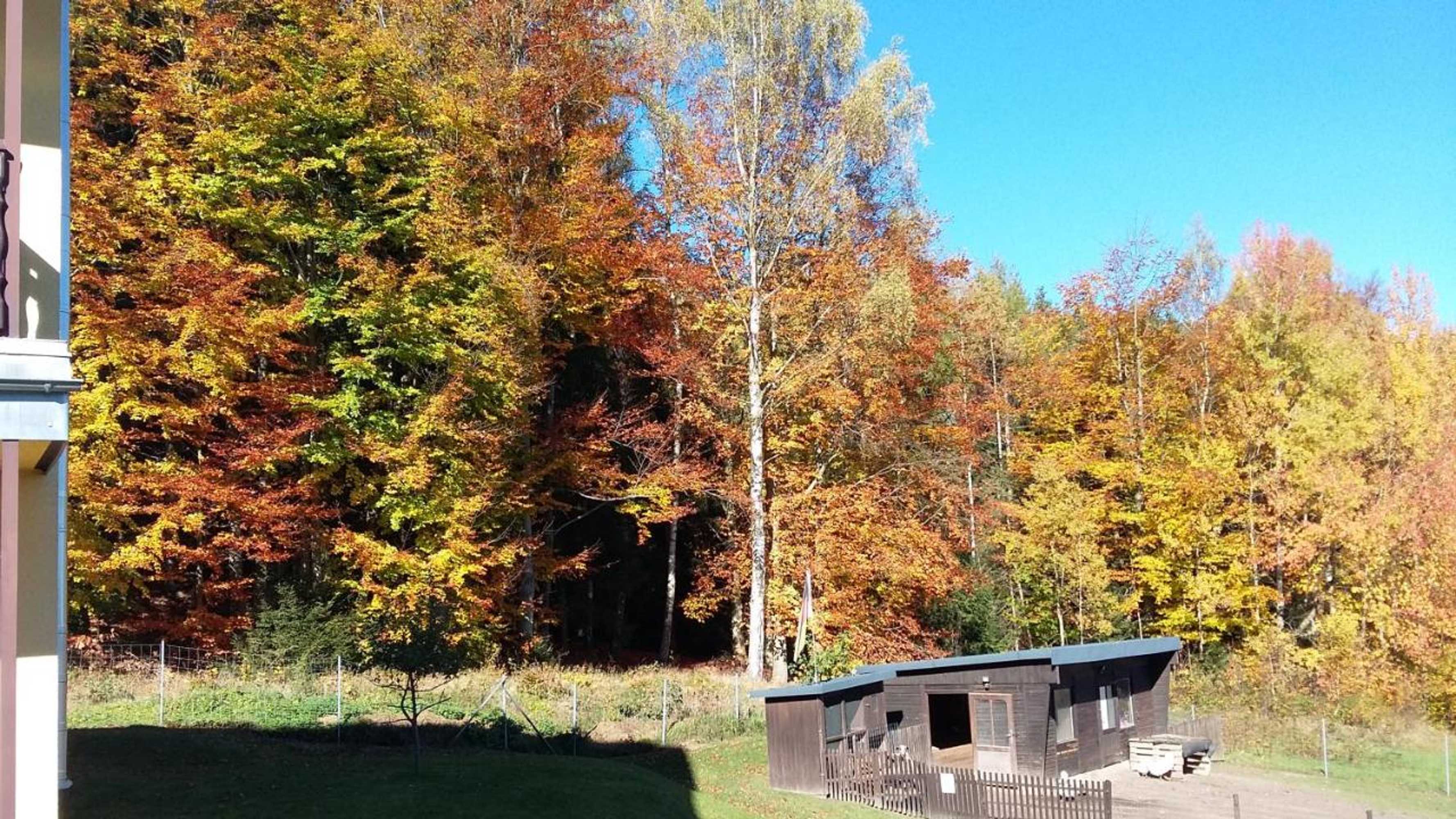 Gift card for Pension Berghof