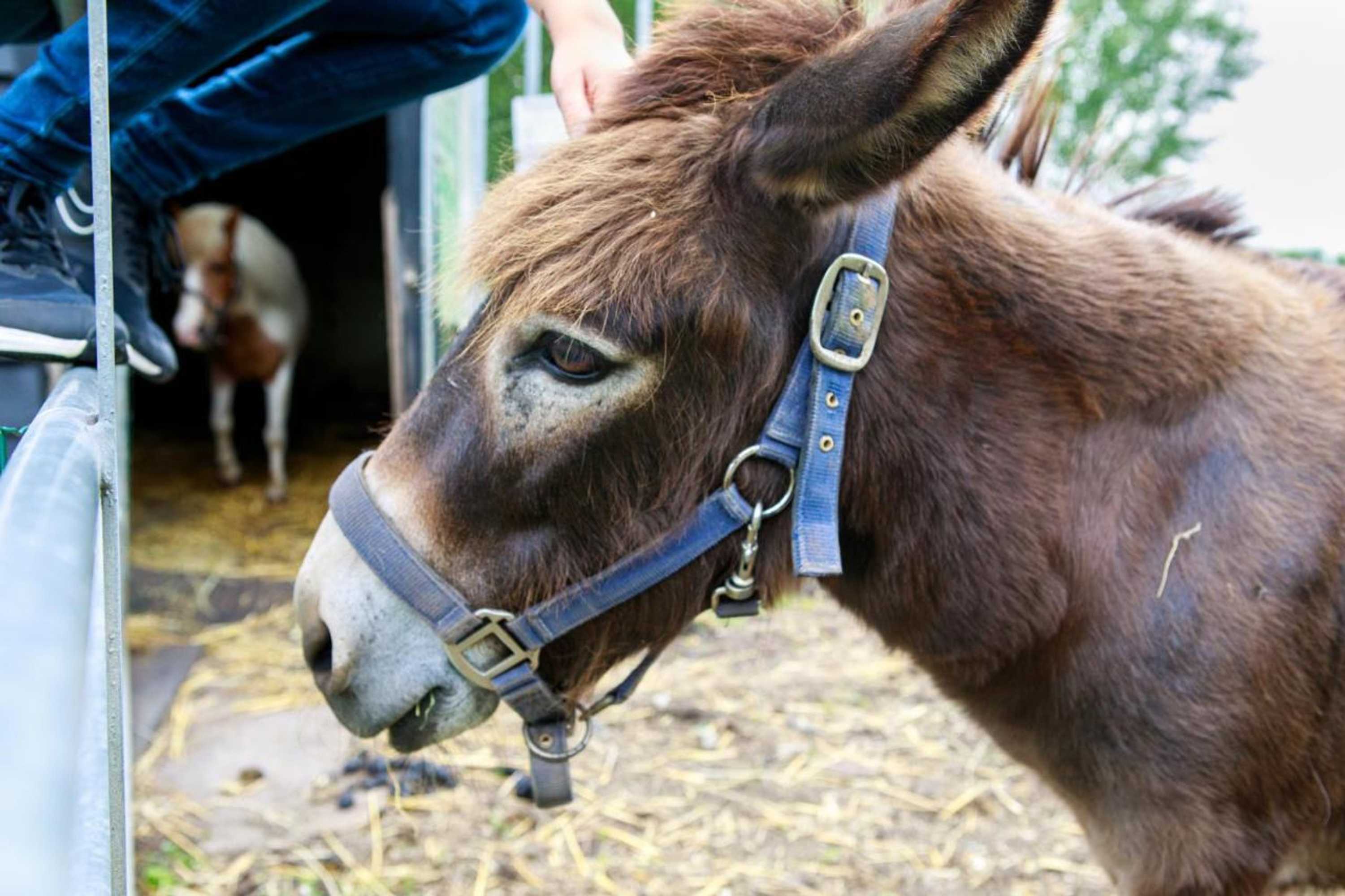 Gift card for Het Groene Wout