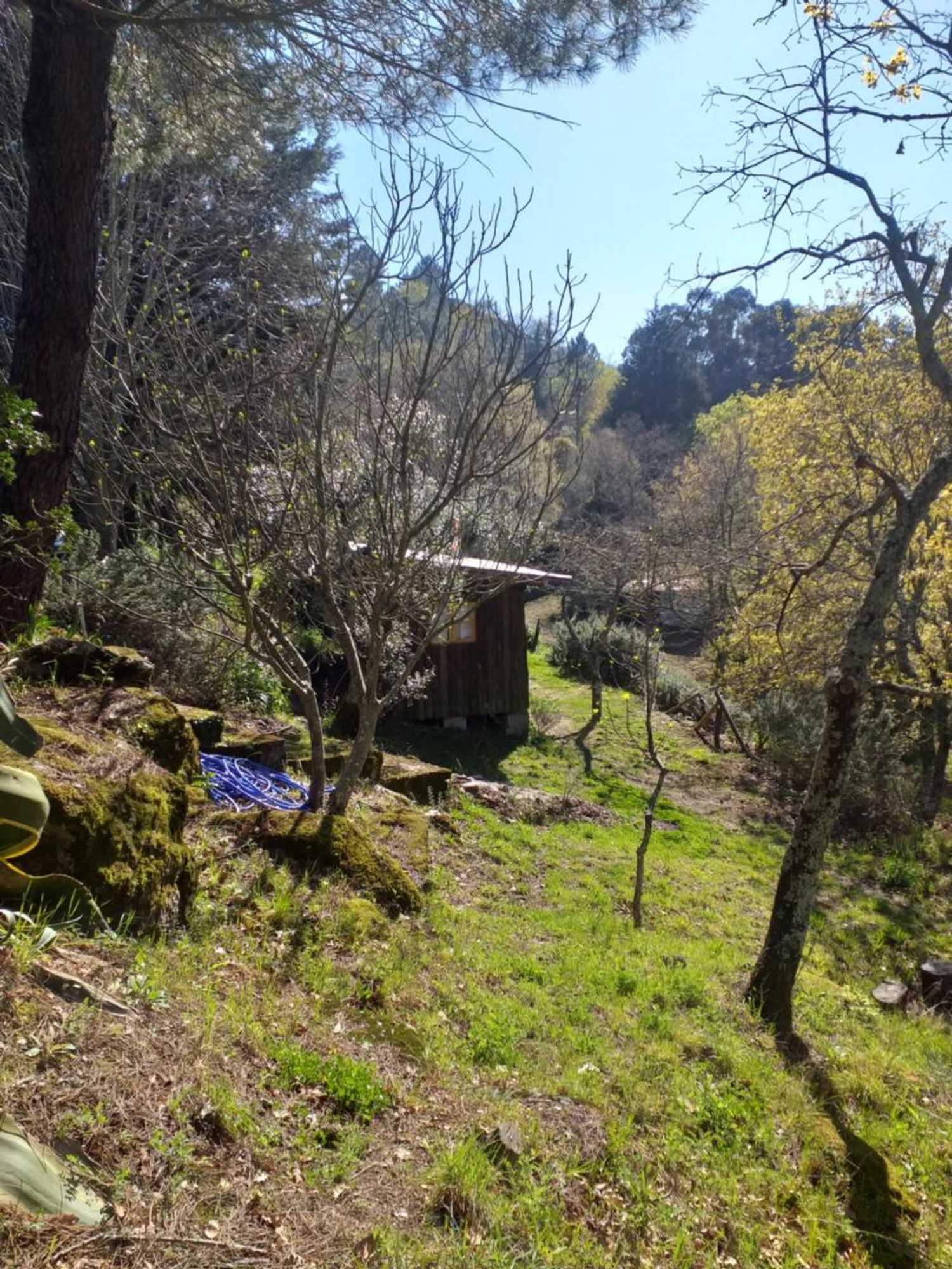 Gift card for Cabana da Oliveira