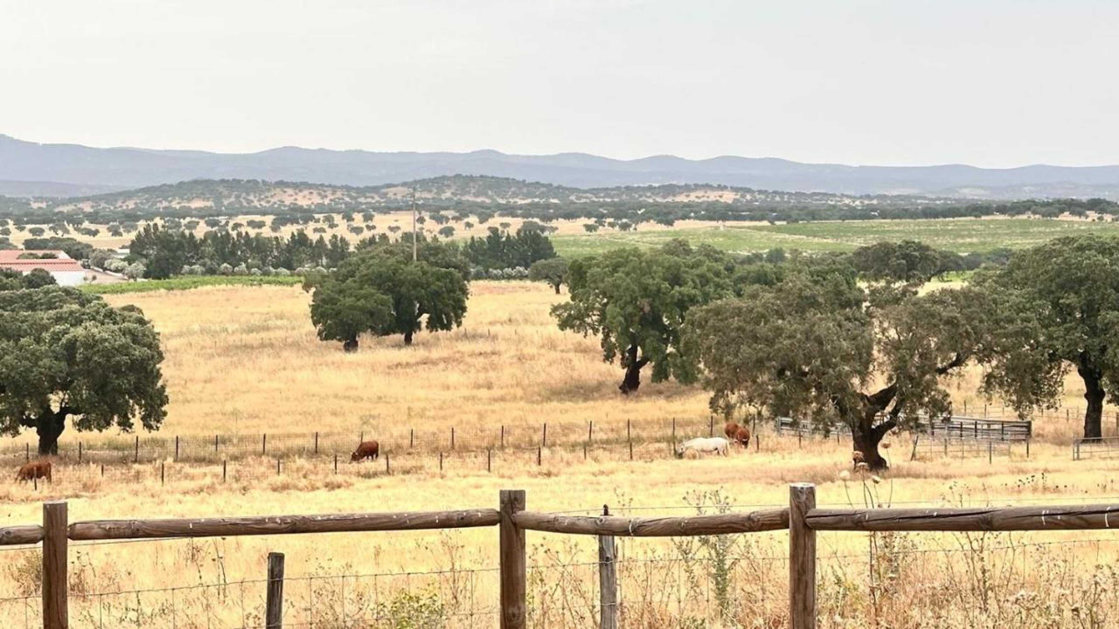 Gift card for Herdade da Carapuça