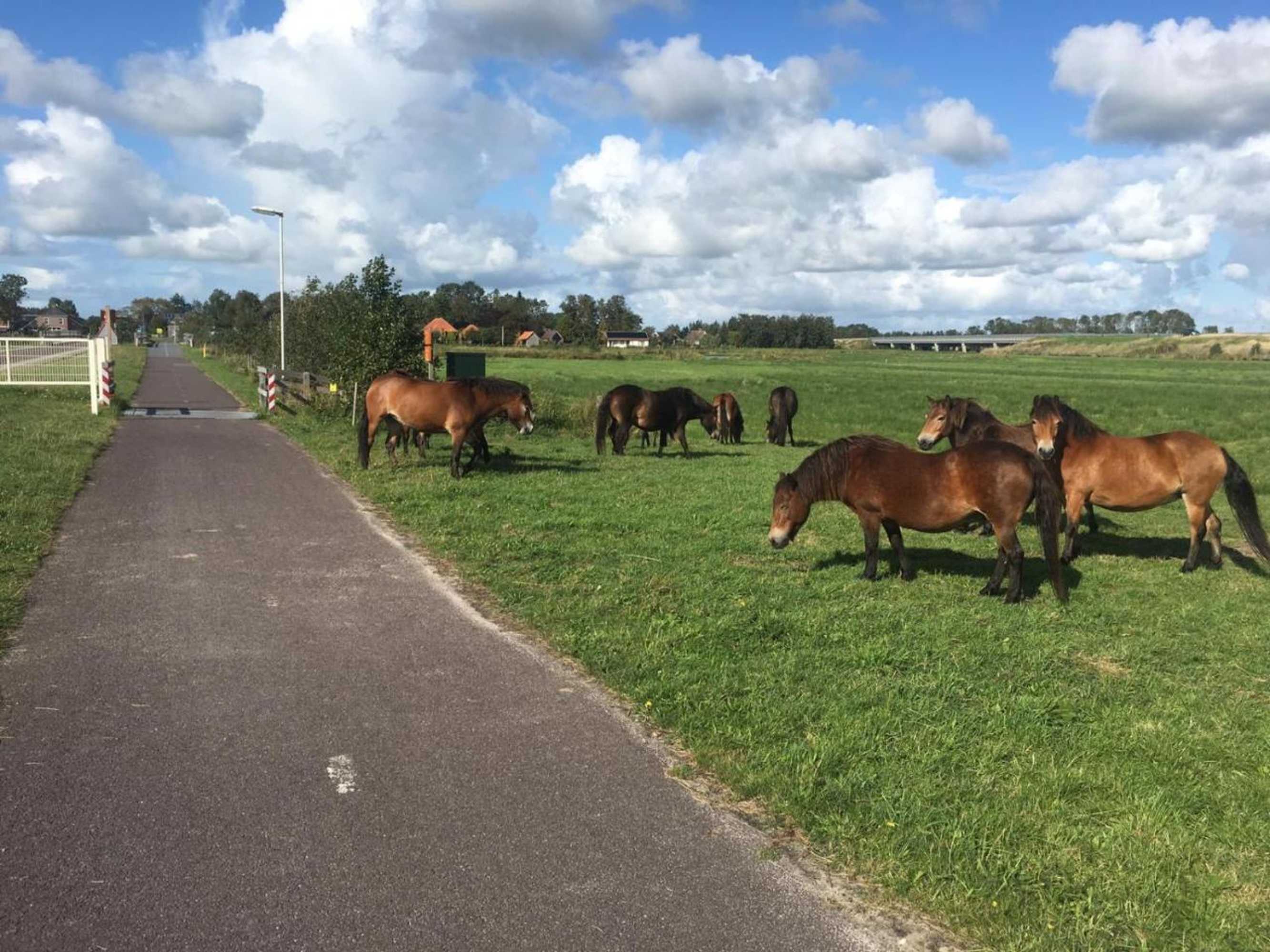 Gift card for Bed en Breakfast de Houtwiel