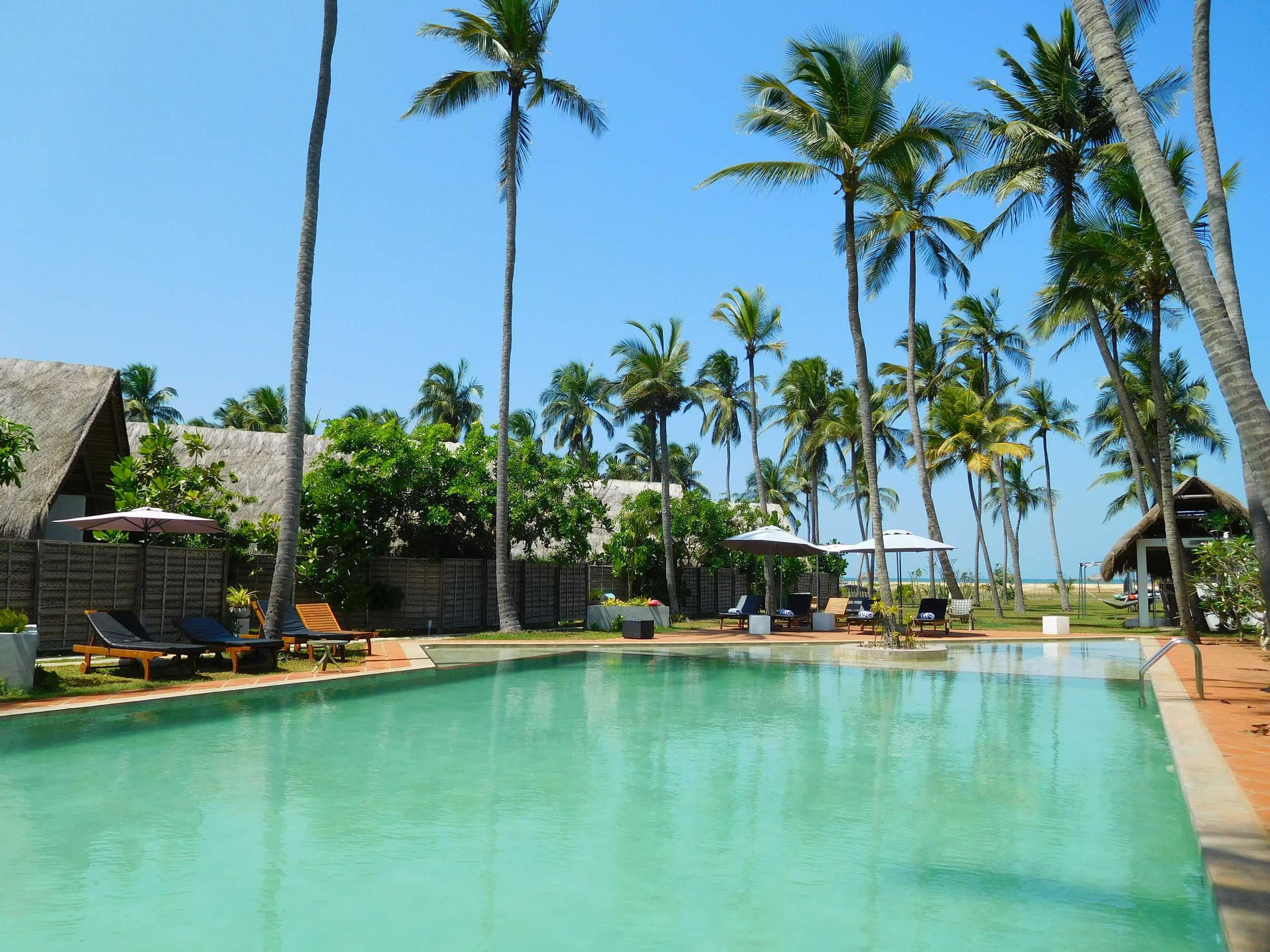 Gift card for Blue Whale Beach Boutique Resort Gift card for Blue Whale Beach Boutique Resort