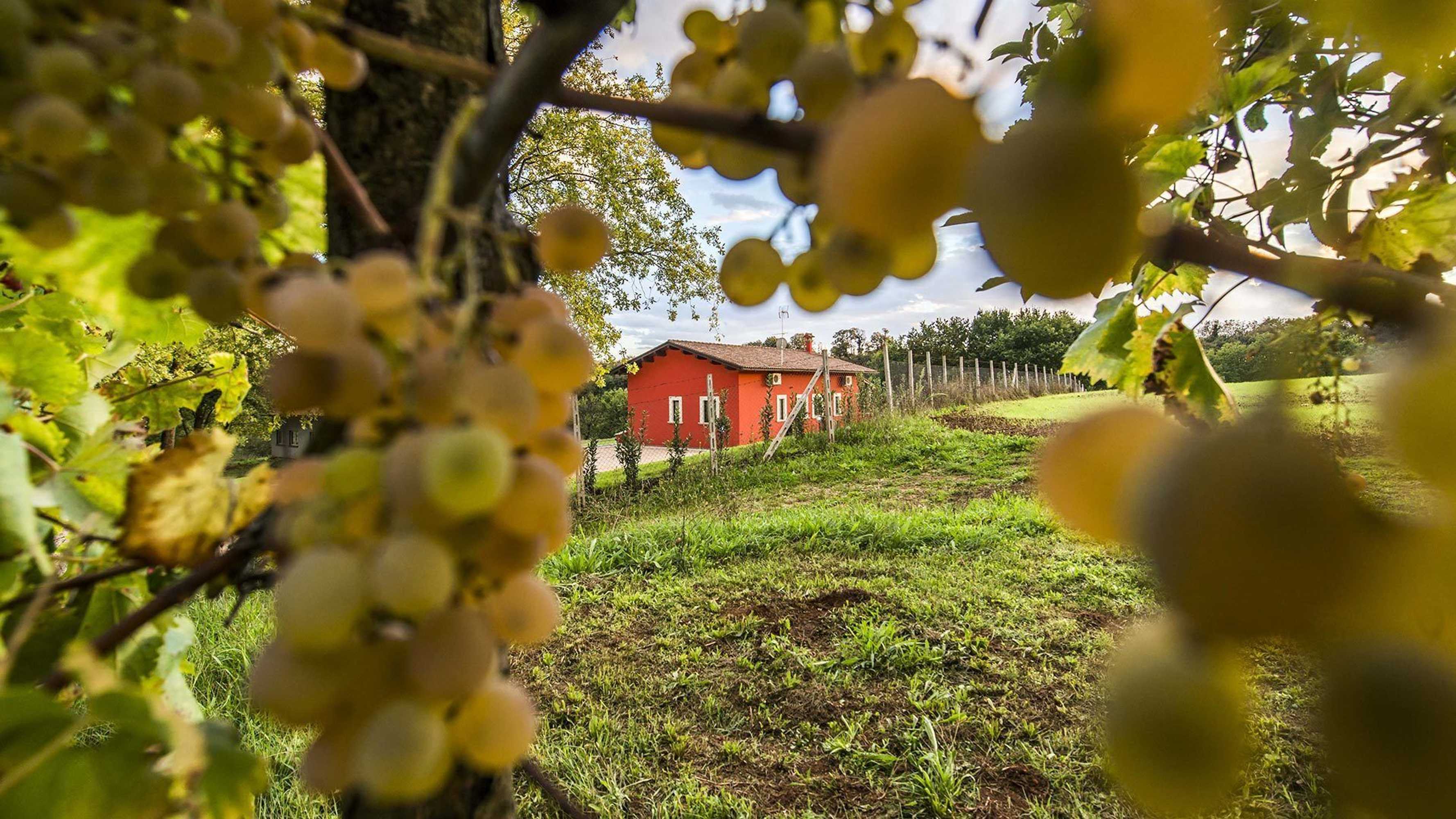 Gift card for Agriturismo Borgo Imperiale Gift card for Agriturismo Borgo Imperiale
