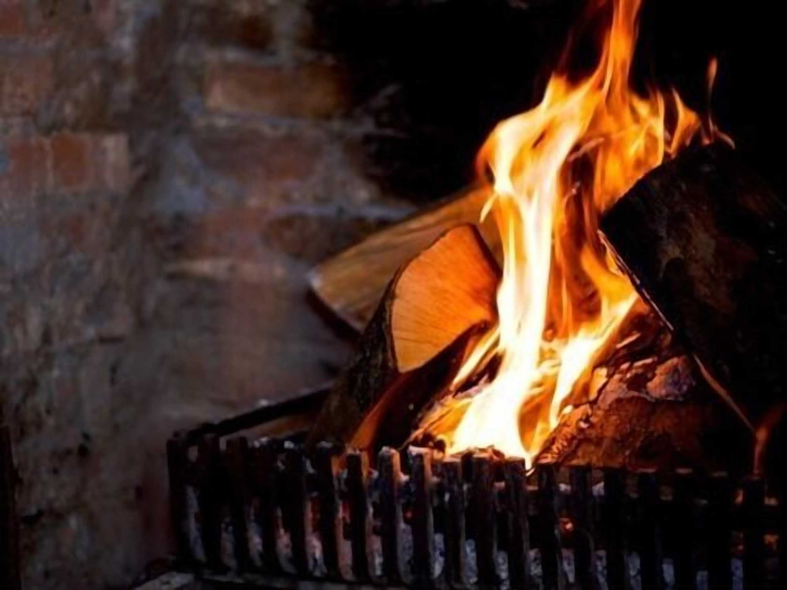 Gift card for The Fox Goes Free Gift card for The Fox Goes Free