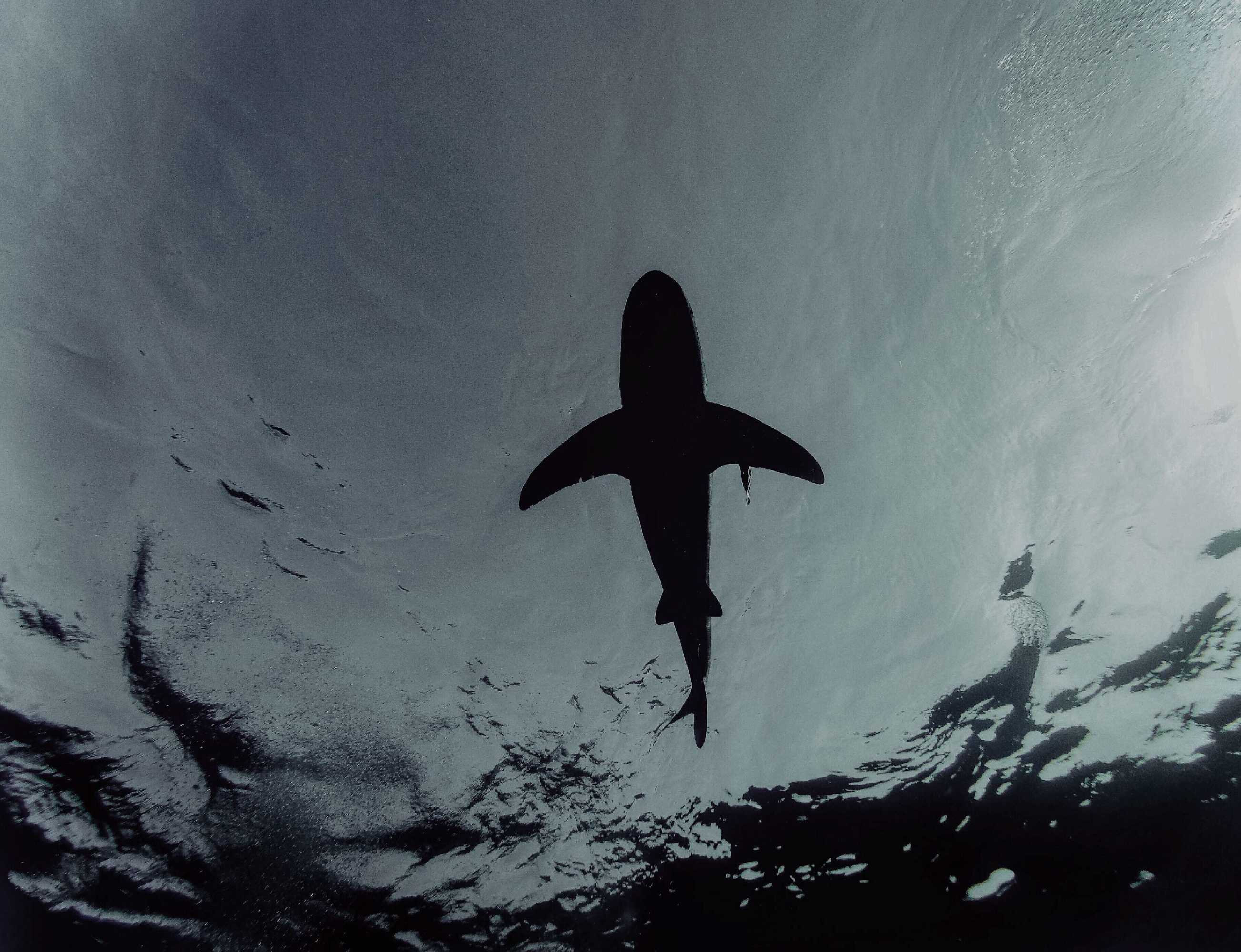 Gift card for Aqua Marina Guest House