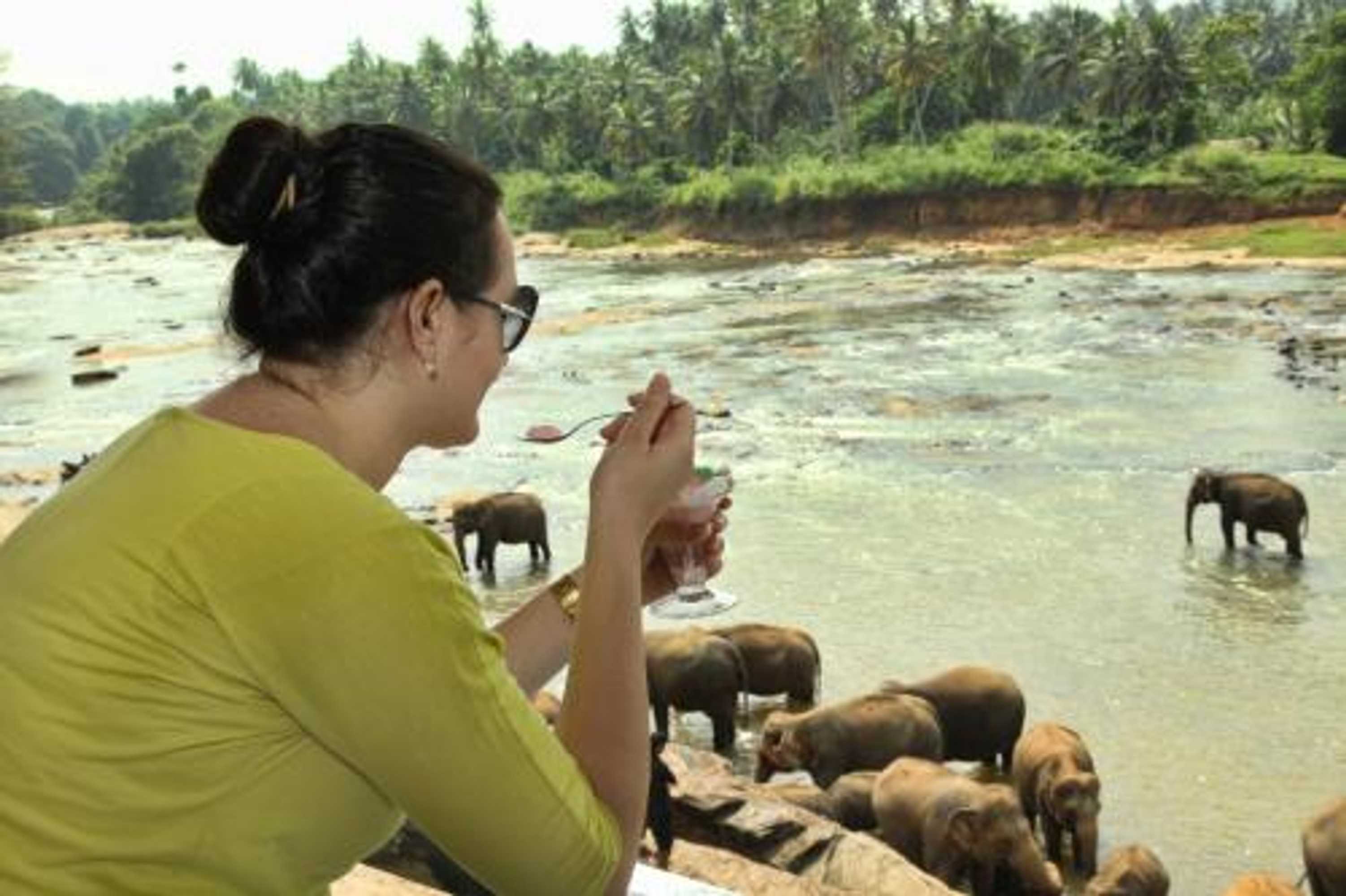 Gift card for Hotel Elephant Park - New Deal! Half Off Airport Pickups Available Gift card for Hotel Elephant Park - New Deal! Half Off Airport Pickups Available