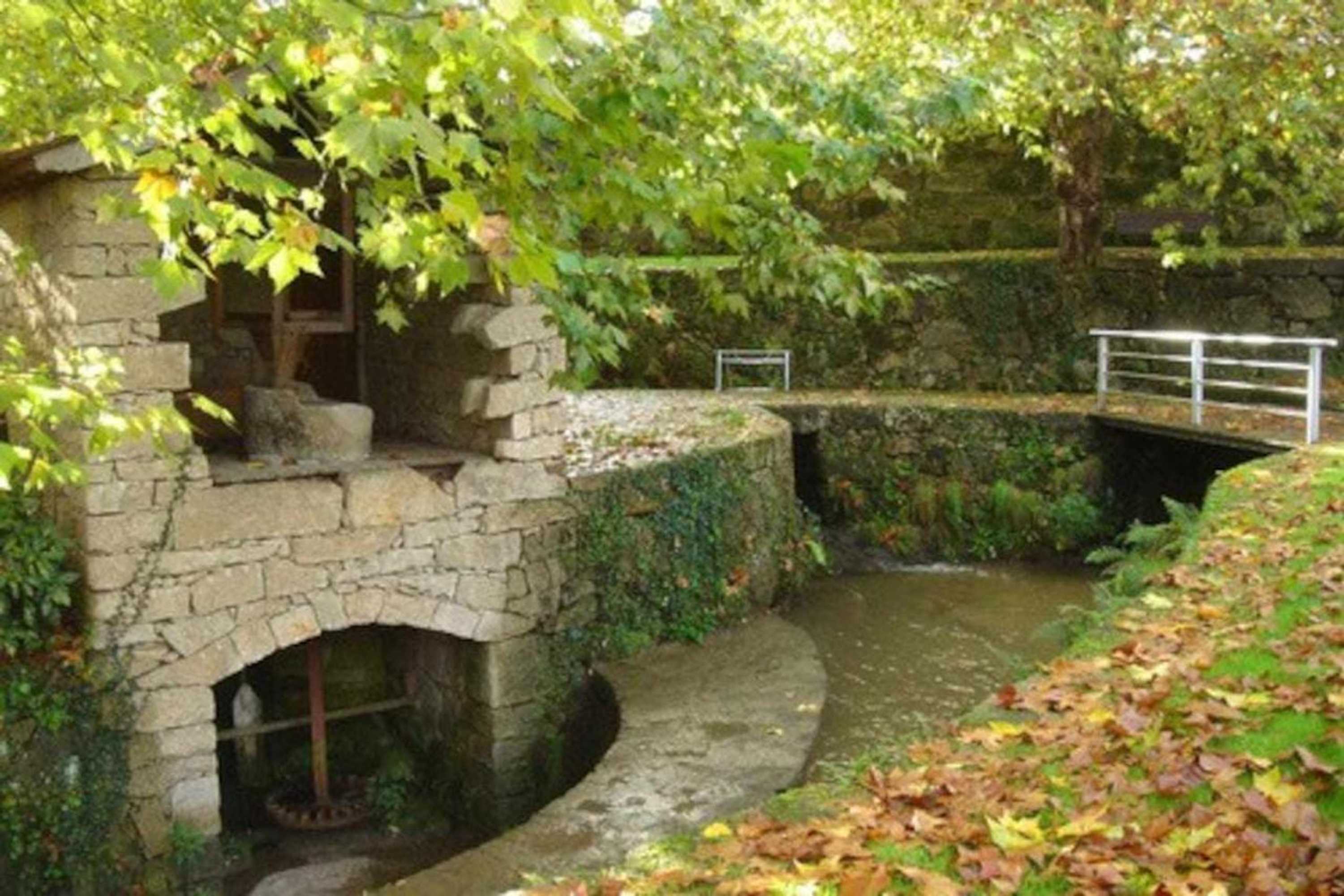 Gift card for Casa da Caneleira Camélias de Basto