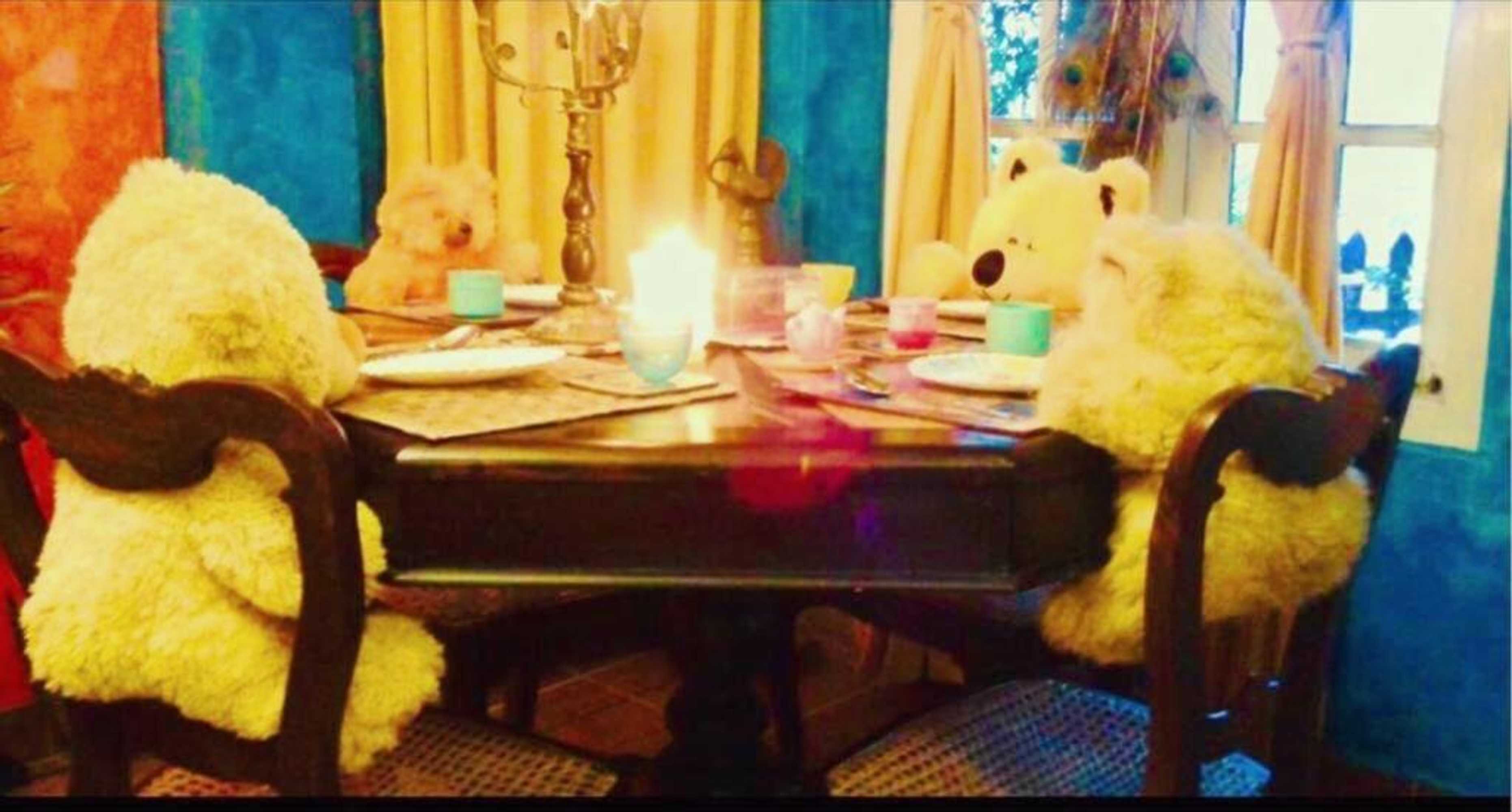 Gift card for Serendipity Lake Artistic Bungalow by Heidis Home