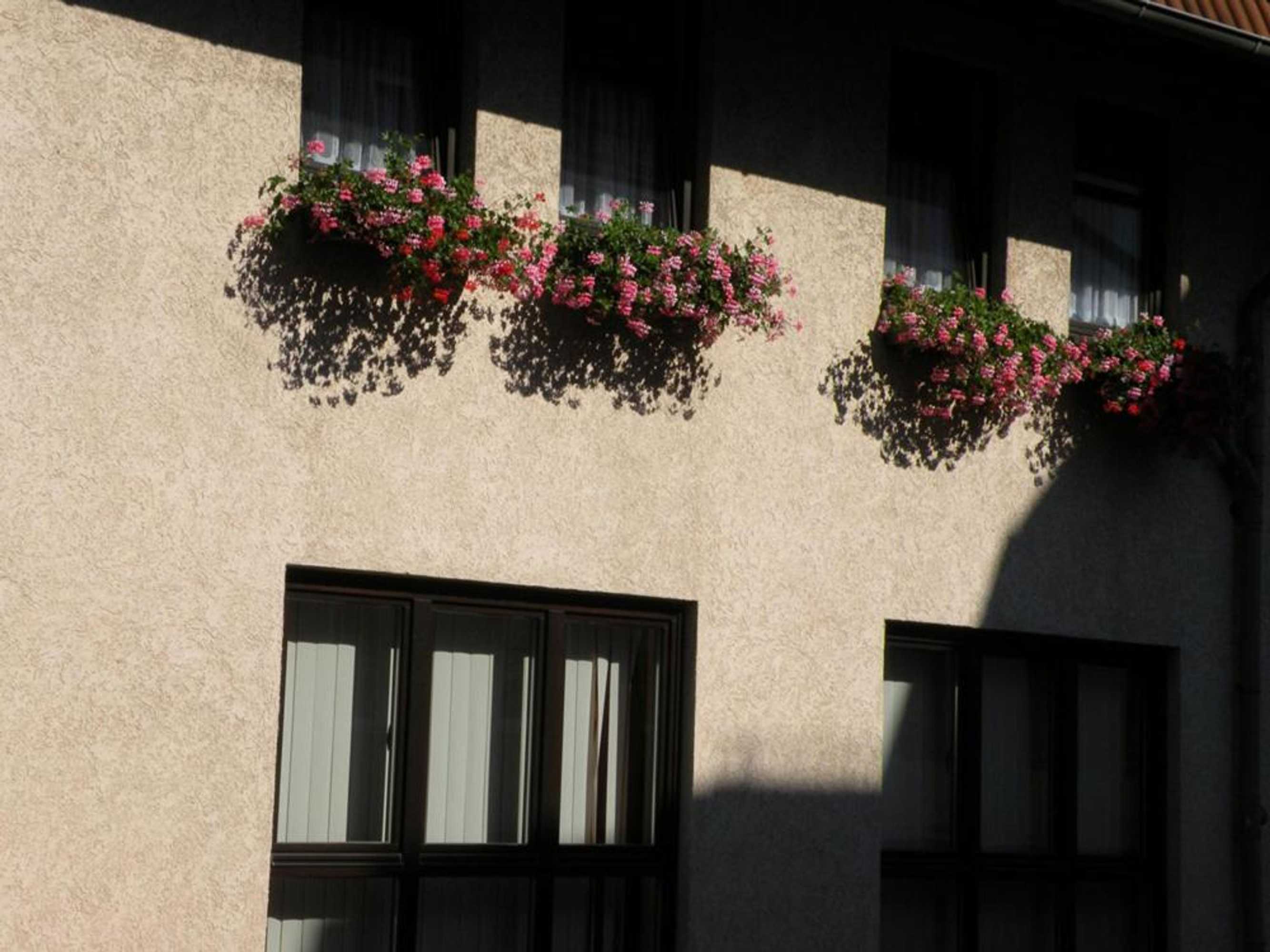 Gift card for Apartments Schramm