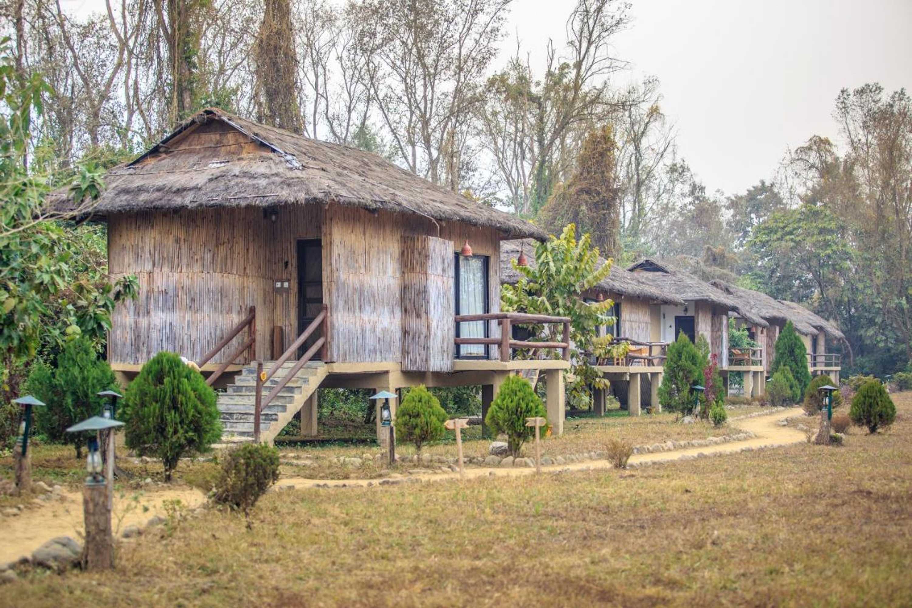 Gift card for Temple Tiger Green Jungle Resort
