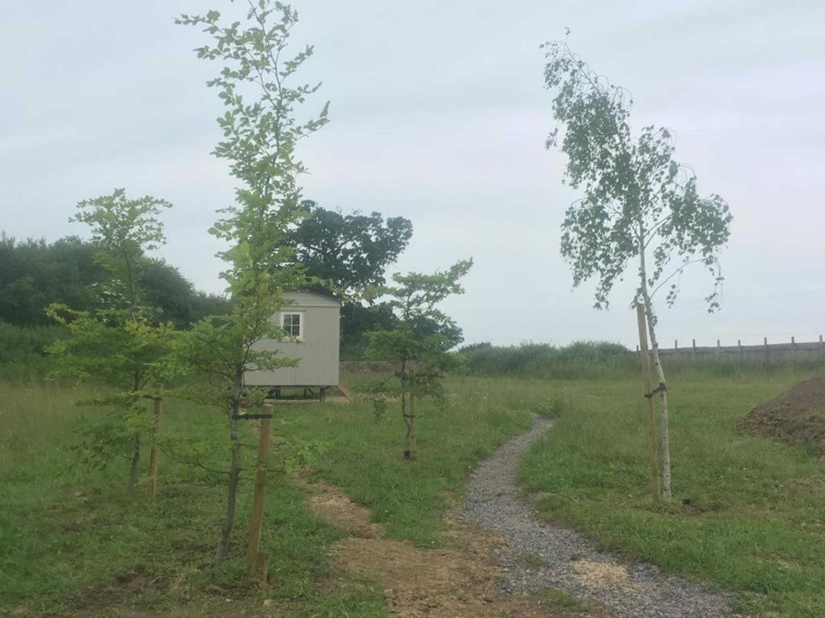 Gift card for Romantic Secluded Shepherd Hut Hares Rest