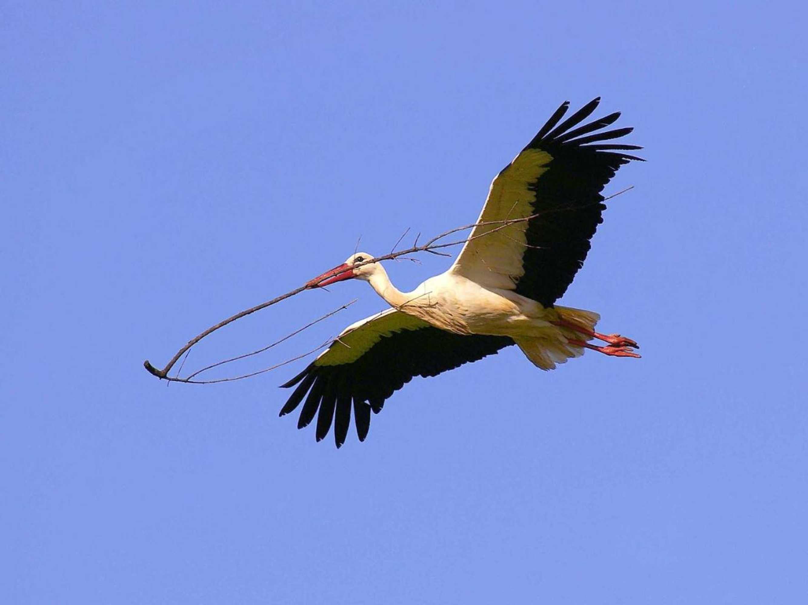 Gift card for Tapada da Rabela - Reserva Natural