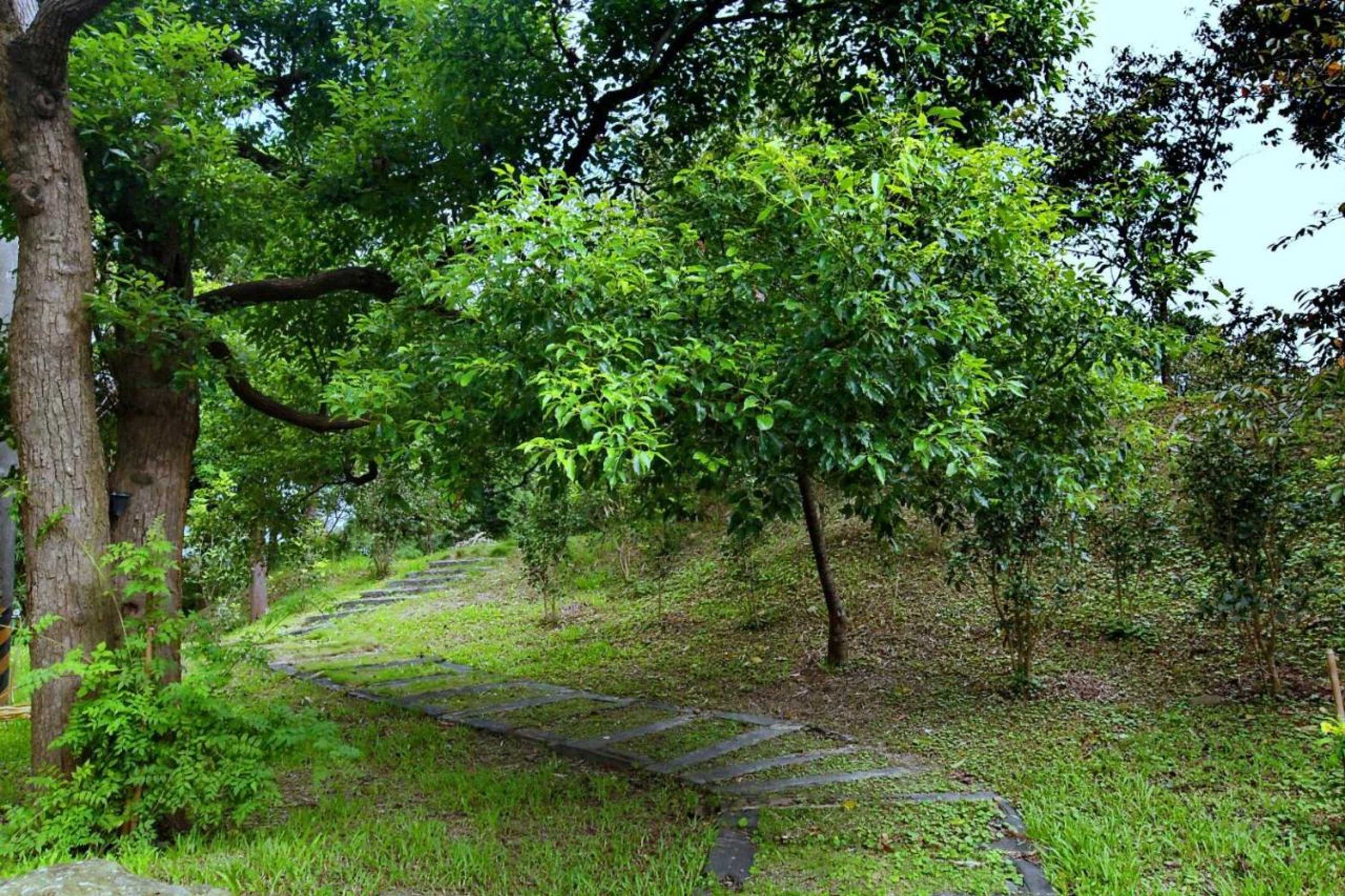 Gift card for Yellow Stone M.v.