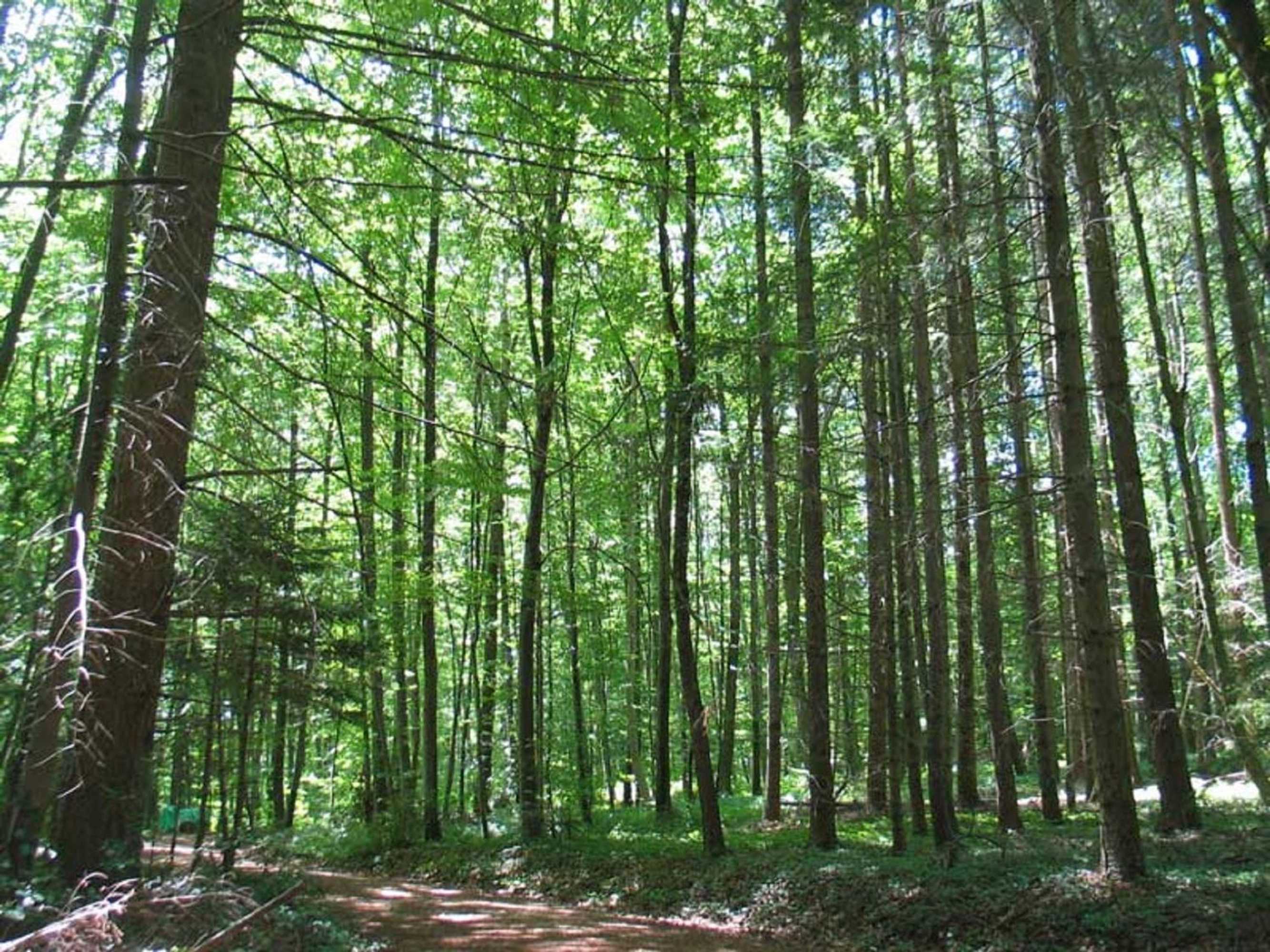 Gift card for B&b Hersberg