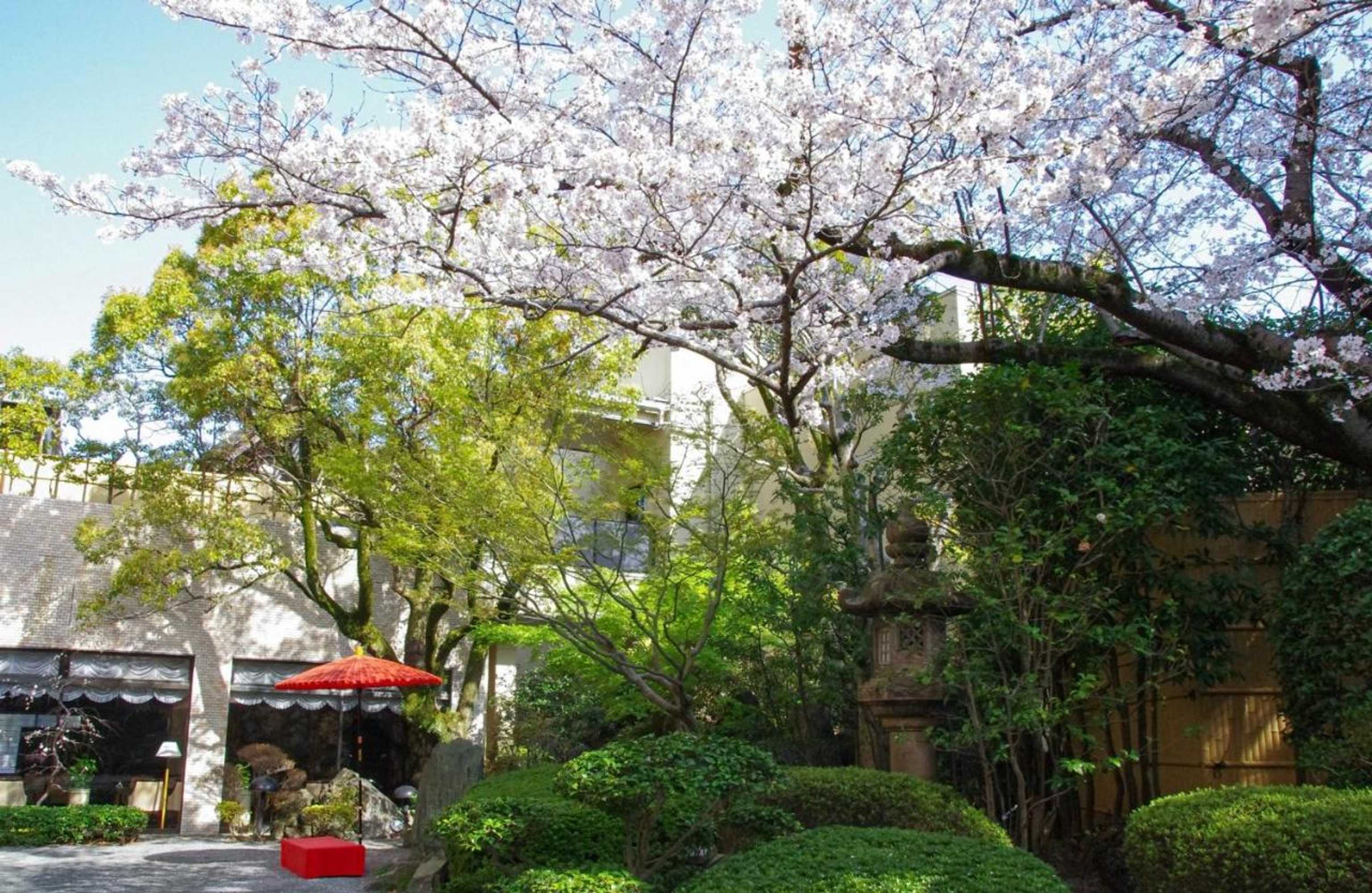 Gift card for Shohakuen Hotel