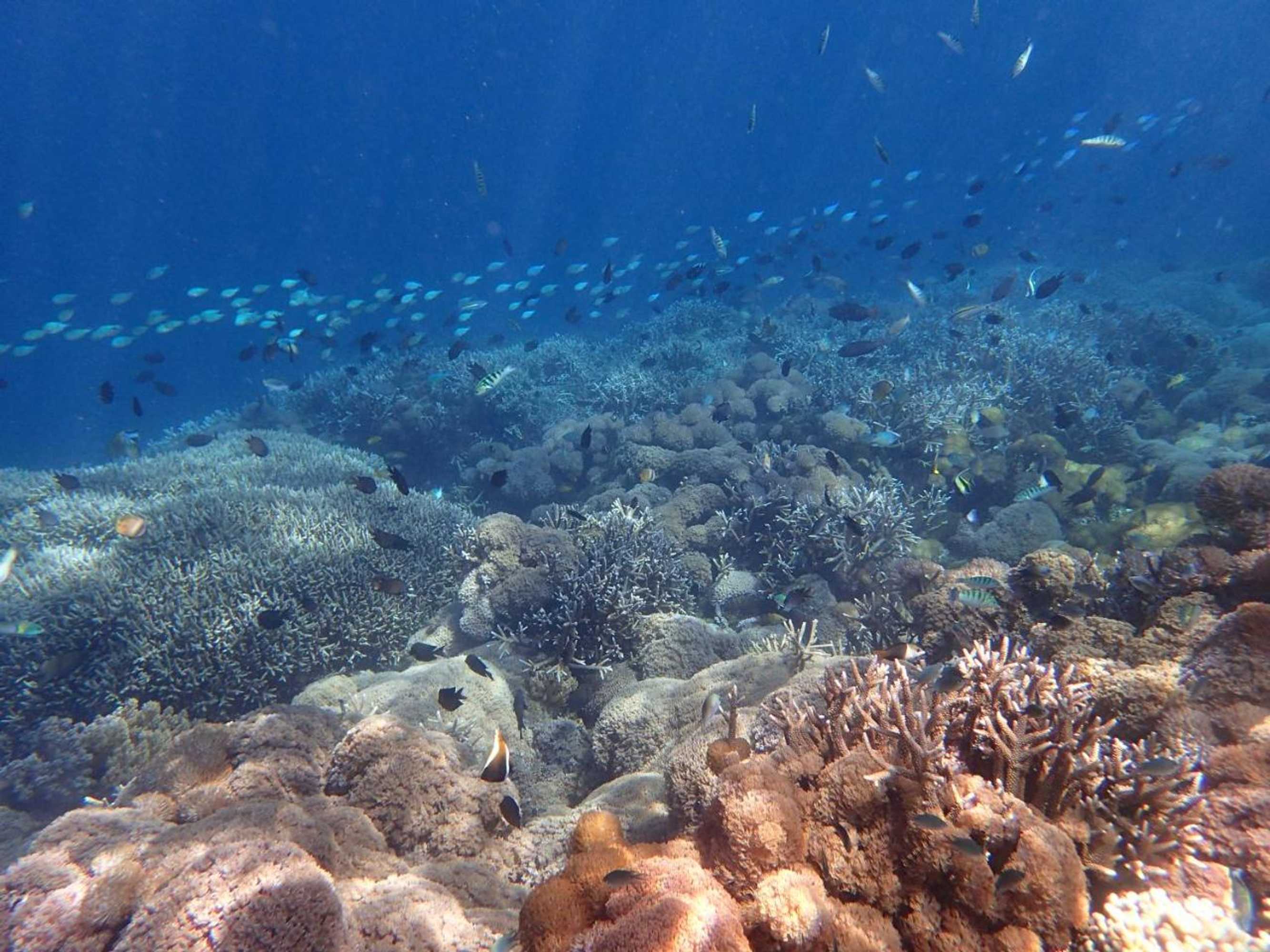 Gift card for Bidara Cottage