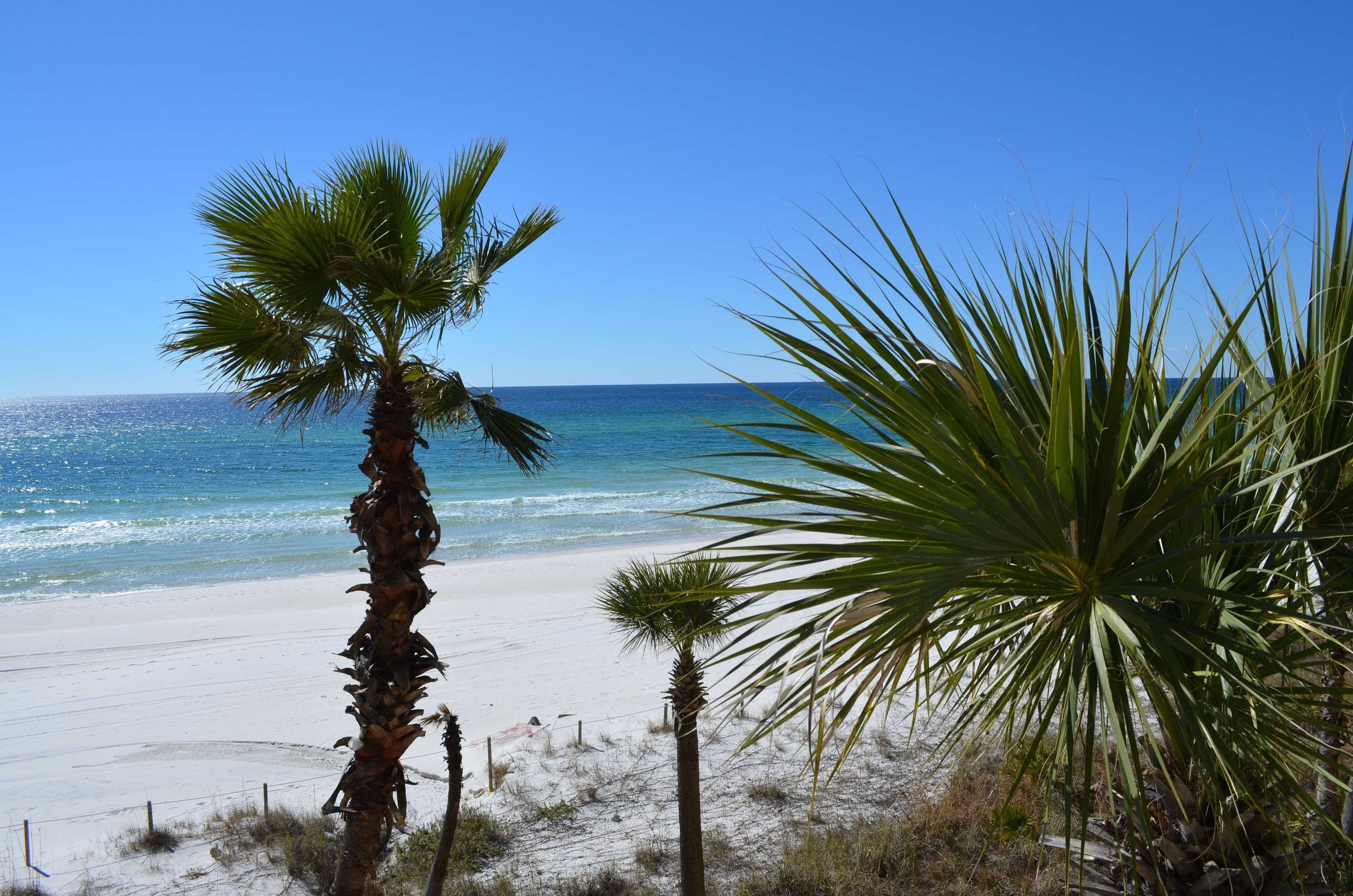 Gift card for Days Inn by Wyndham Panama City Beach/ocean Front Gift card for Days Inn by Wyndham Panama City Beach/ocean Front